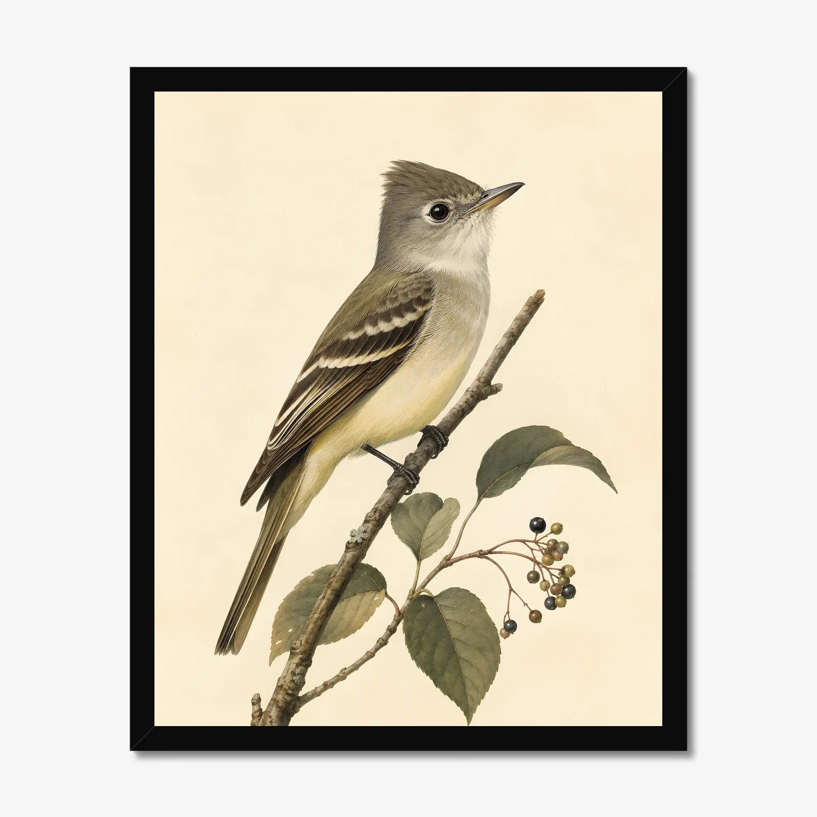 Acadian Flycatcher Print in a black frame
