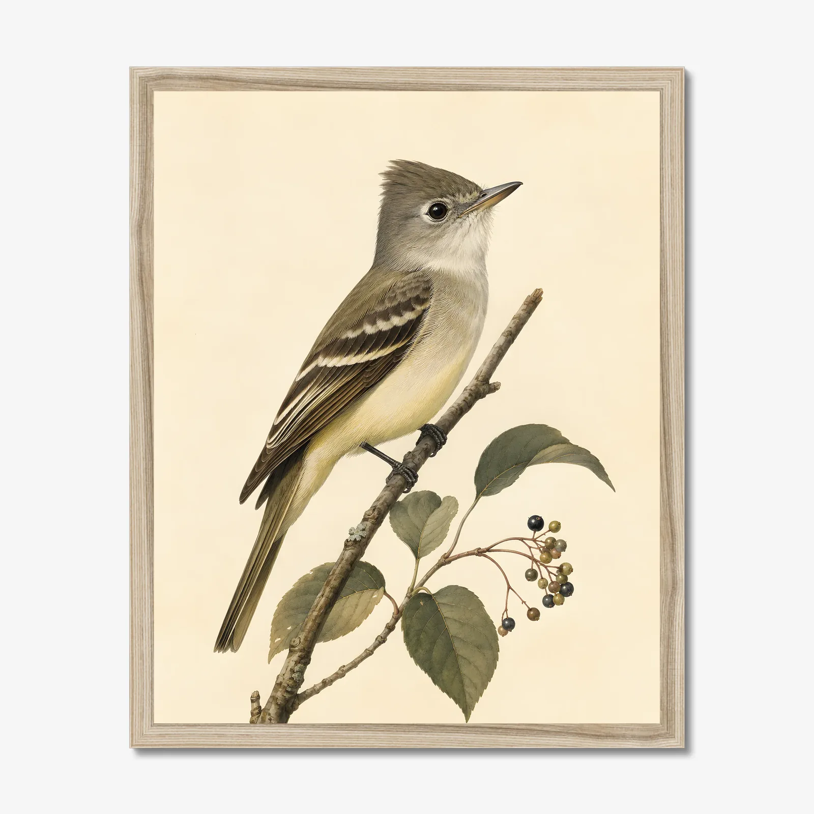 Acadian Flycatcher Print in a natural frame