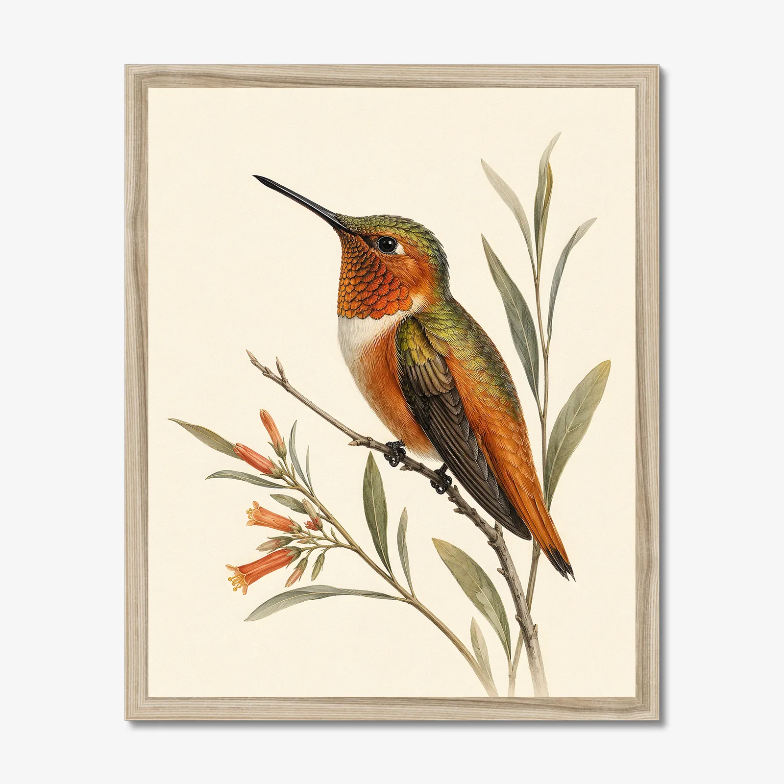 Allen's Hummingbird Print in a natural frame