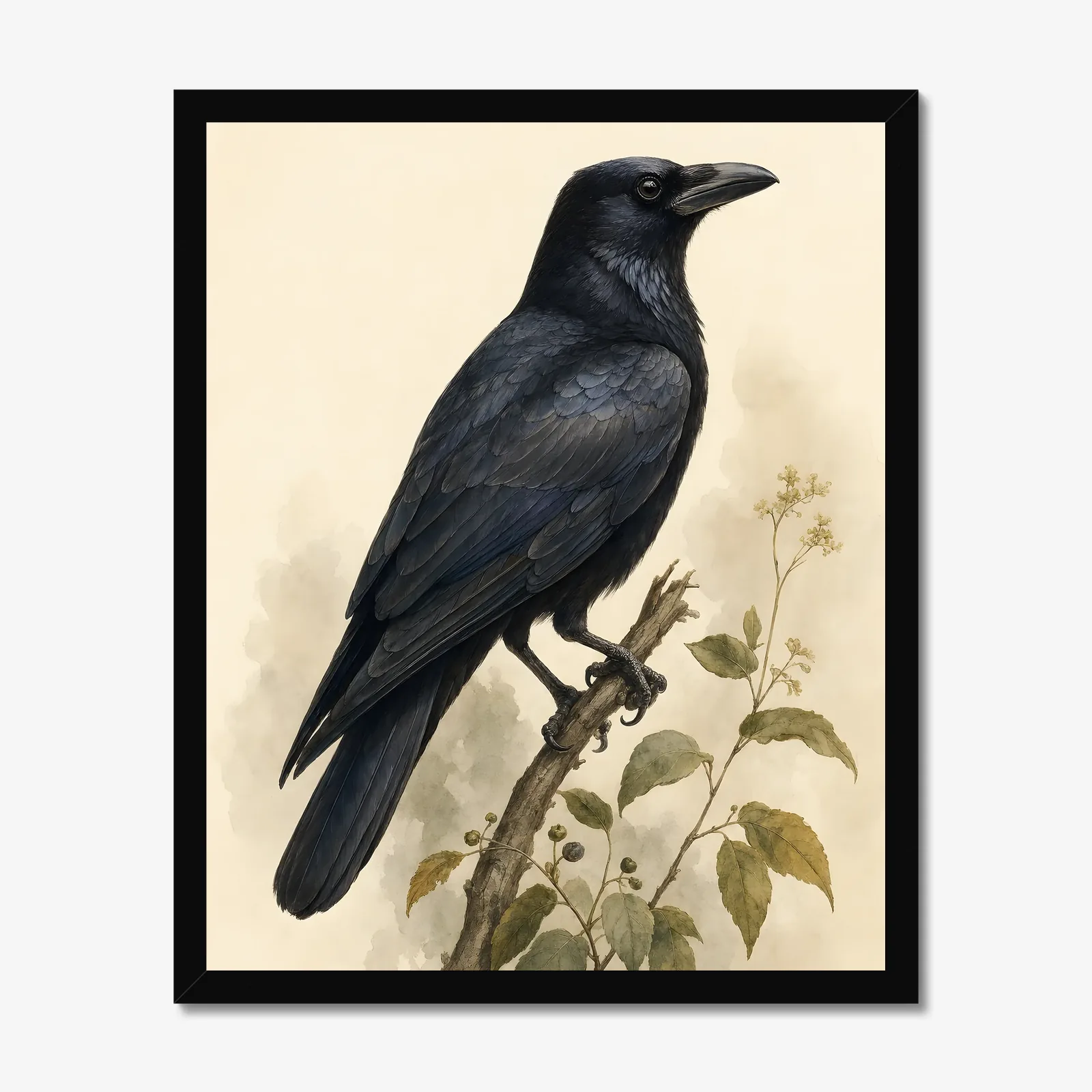 American Crow Print in a black frame