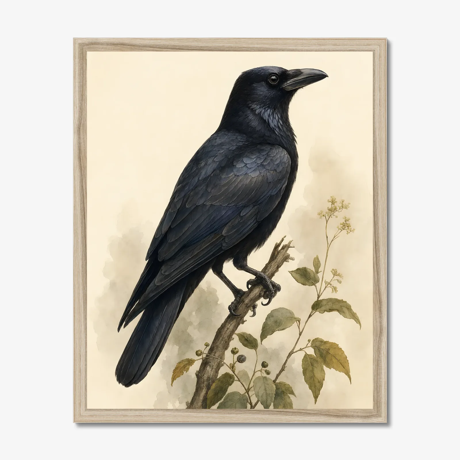 American Crow Print shown as a fine-art print