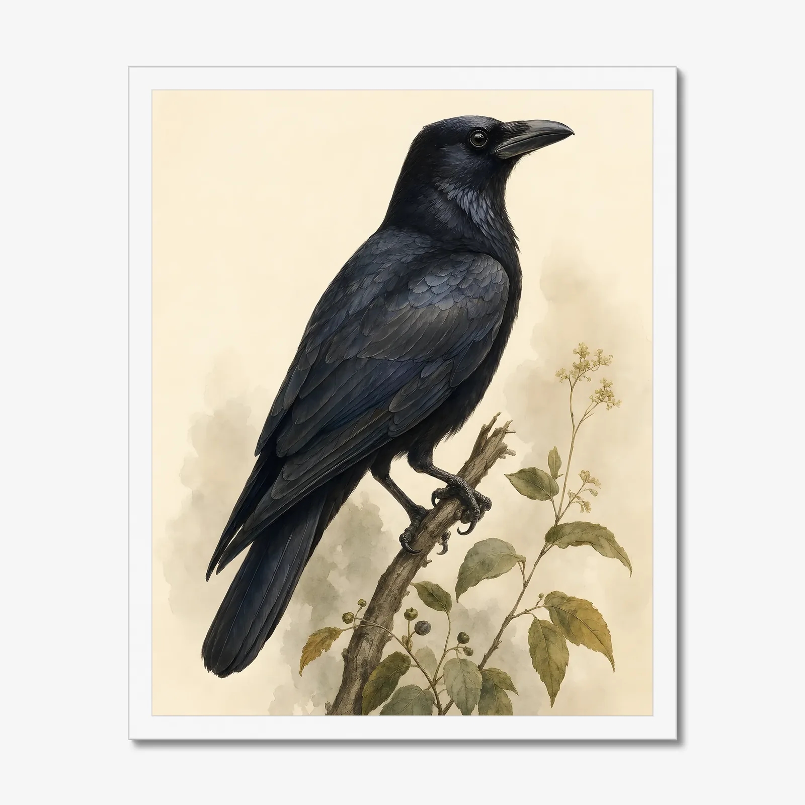 American Crow Print in a white frame