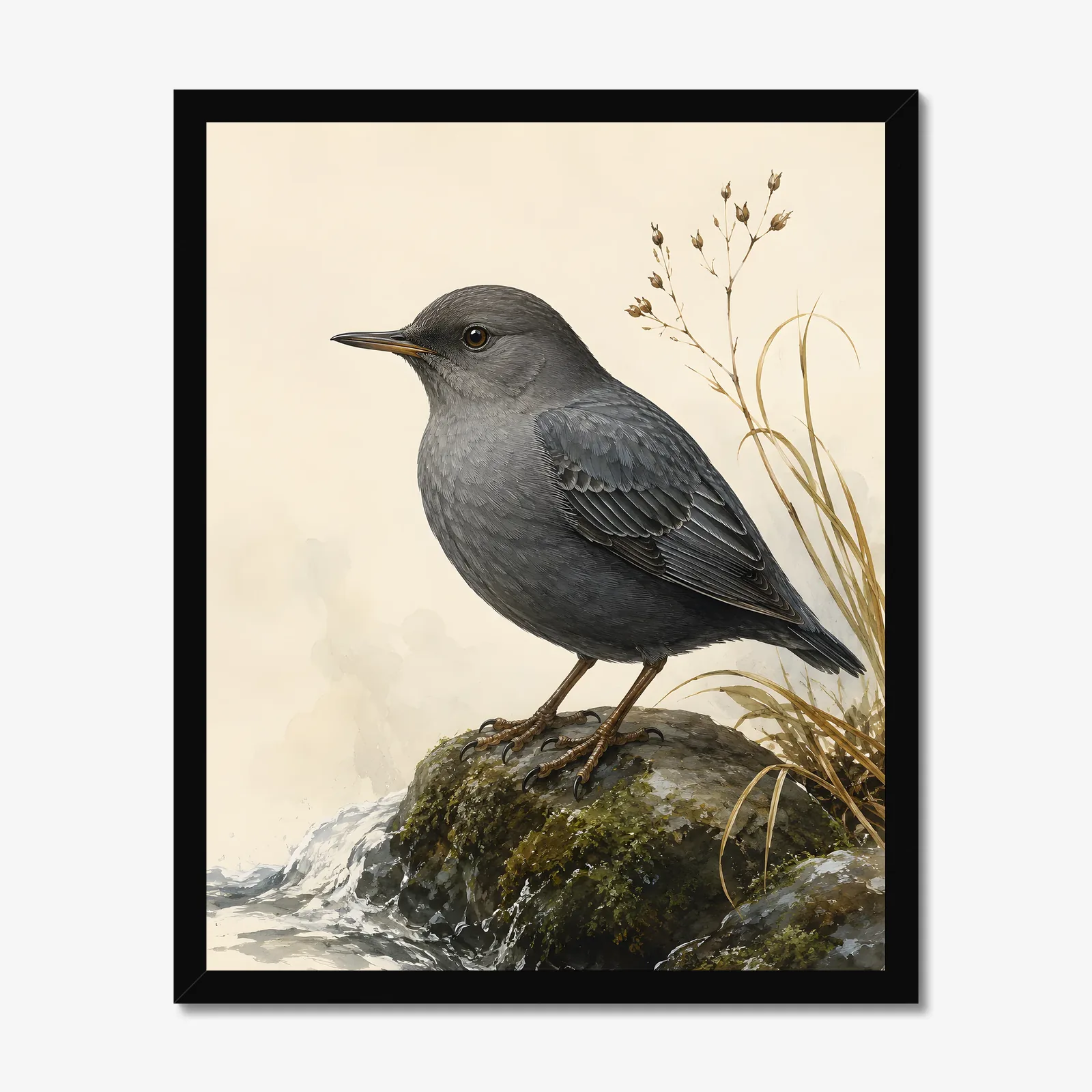 American Dipper Print in a black frame