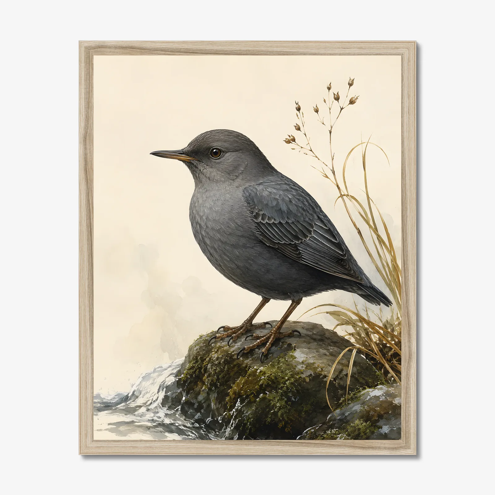 American Dipper Print in a natural frame