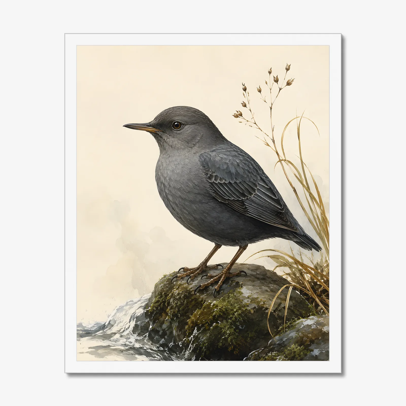 American Dipper Print in a white frame