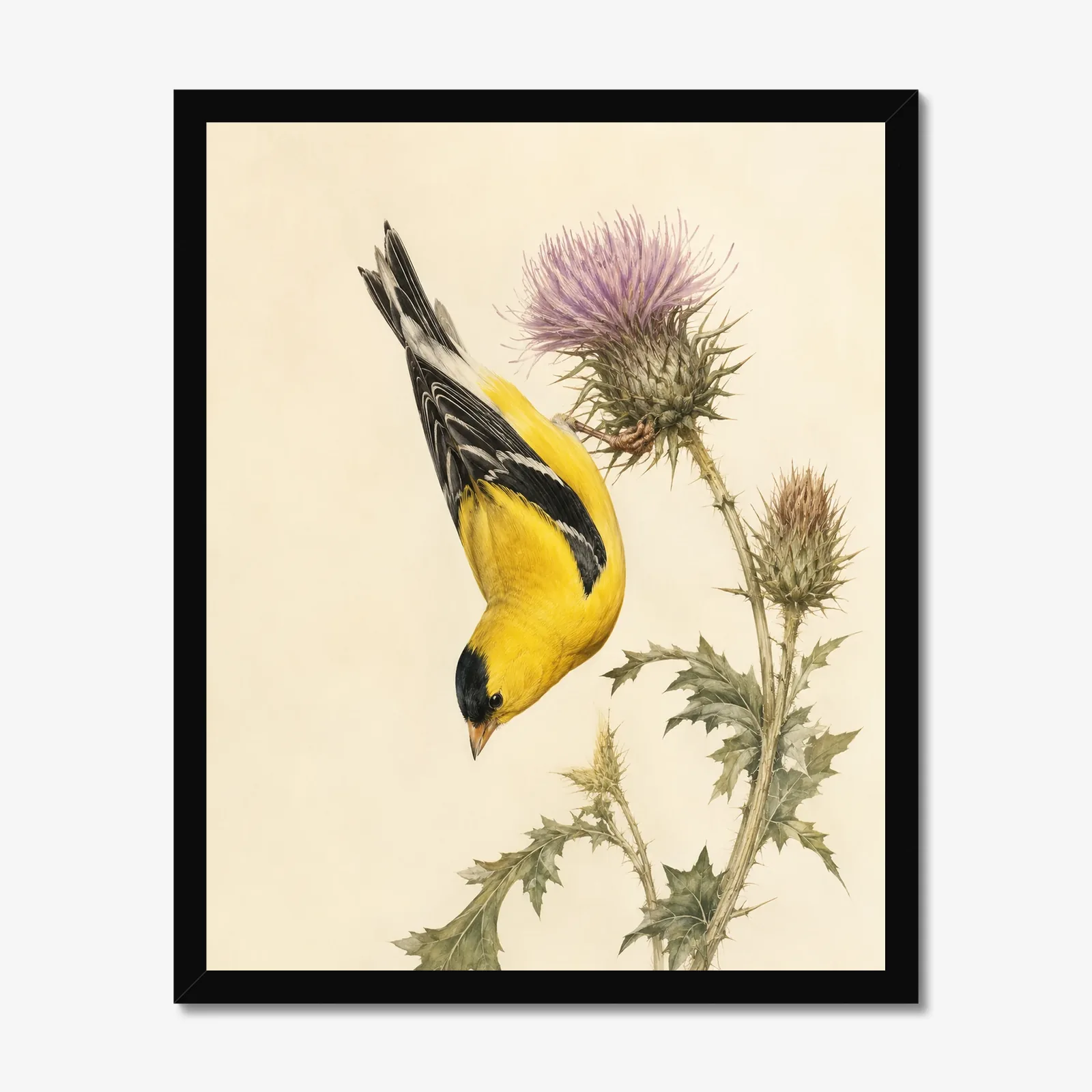 American Goldfinch Print in a black frame