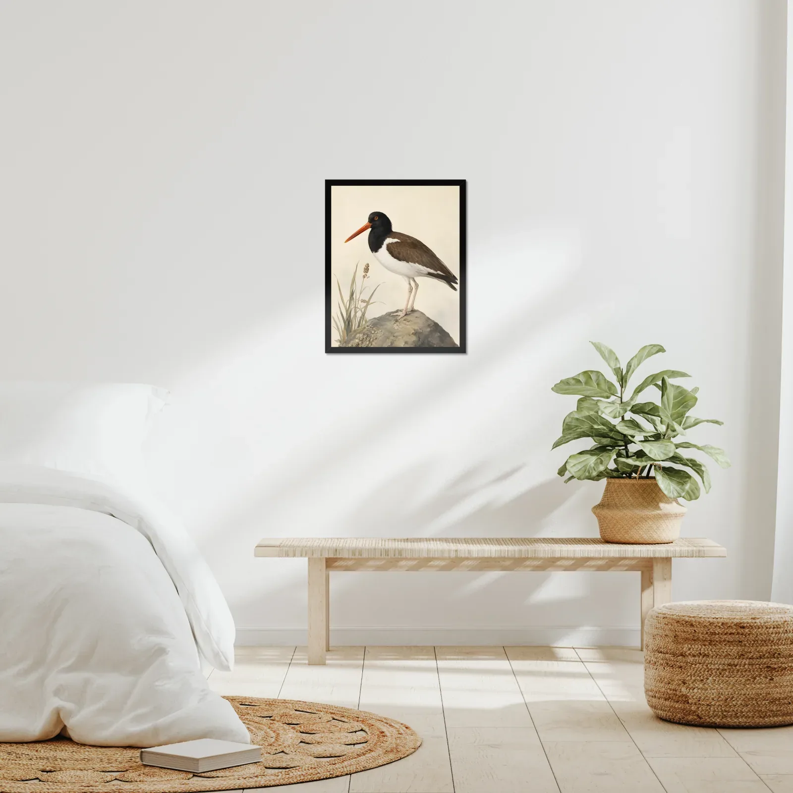 American Oystercatcher Print framed at 16x20 inches, shown on a wall to scale