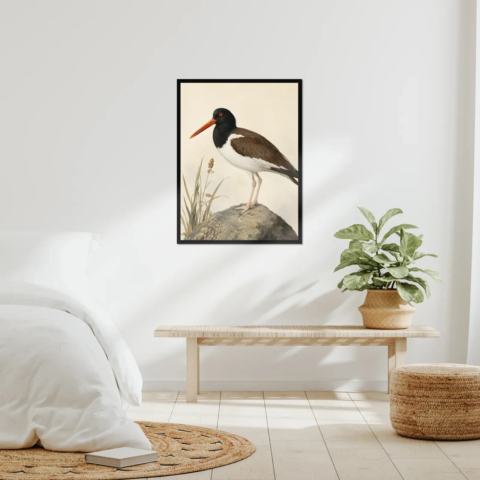 American Oystercatcher Print framed at 24x30 inches, shown on a wall to scale