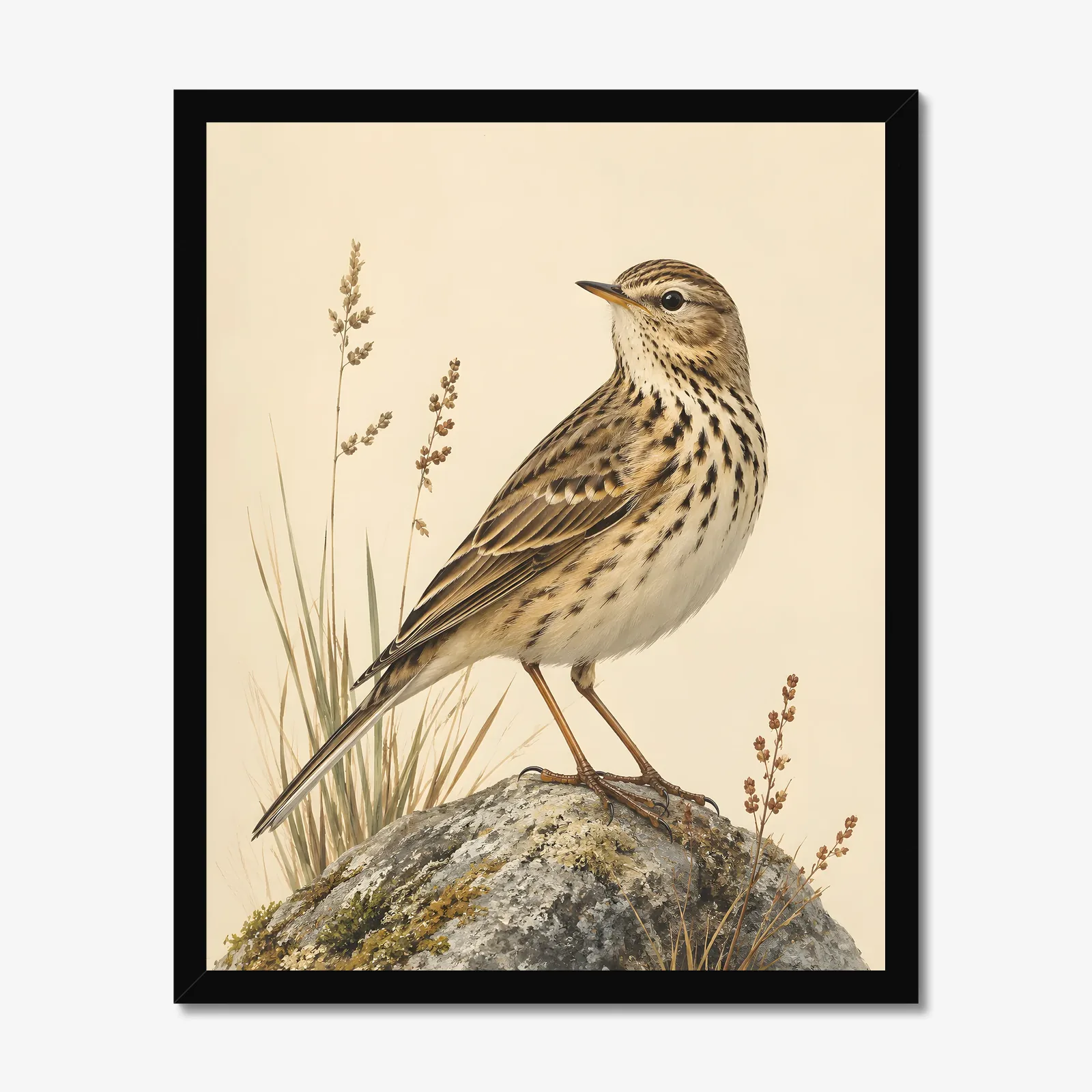 American Pipit Print in a black frame