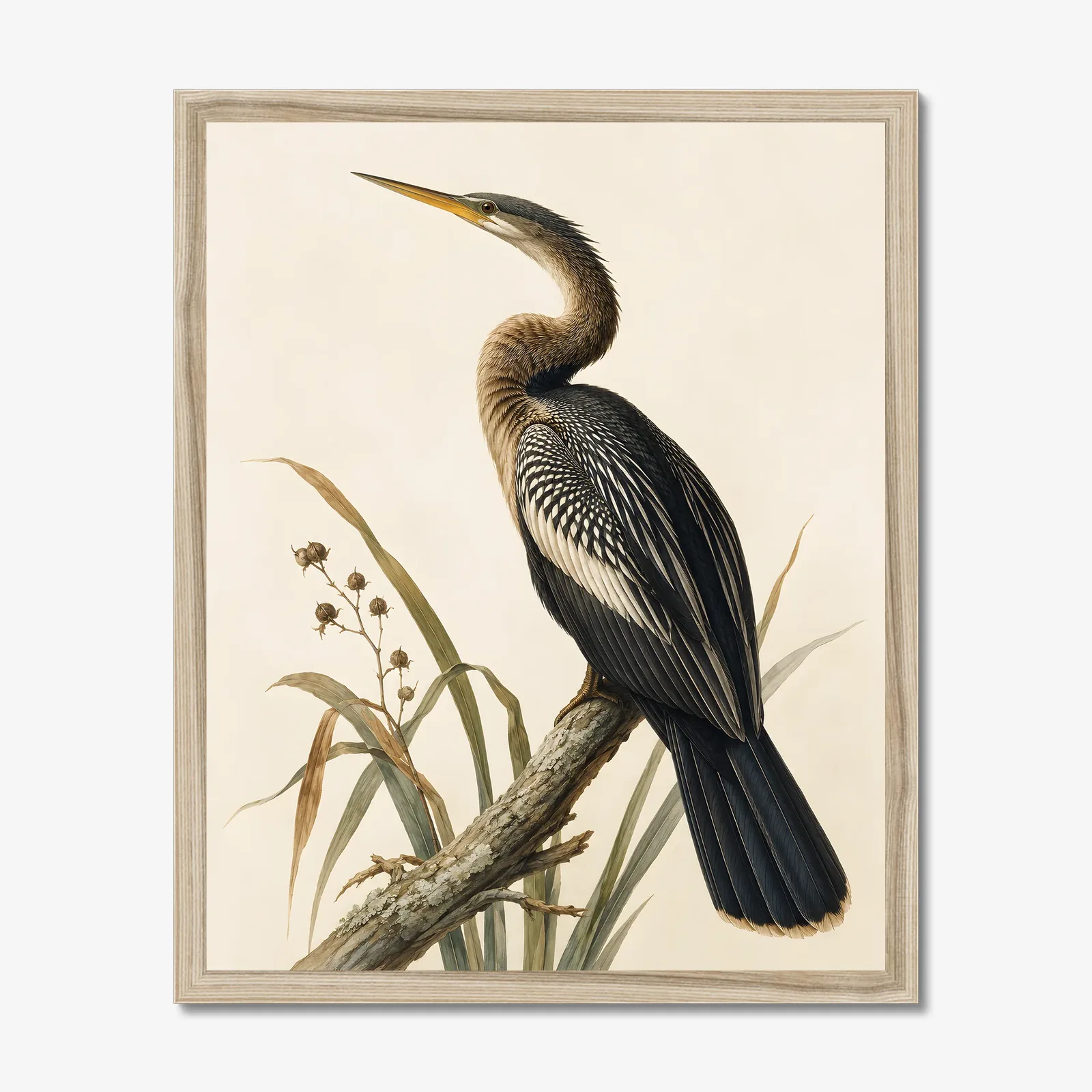 Anhinga Print in a natural frame