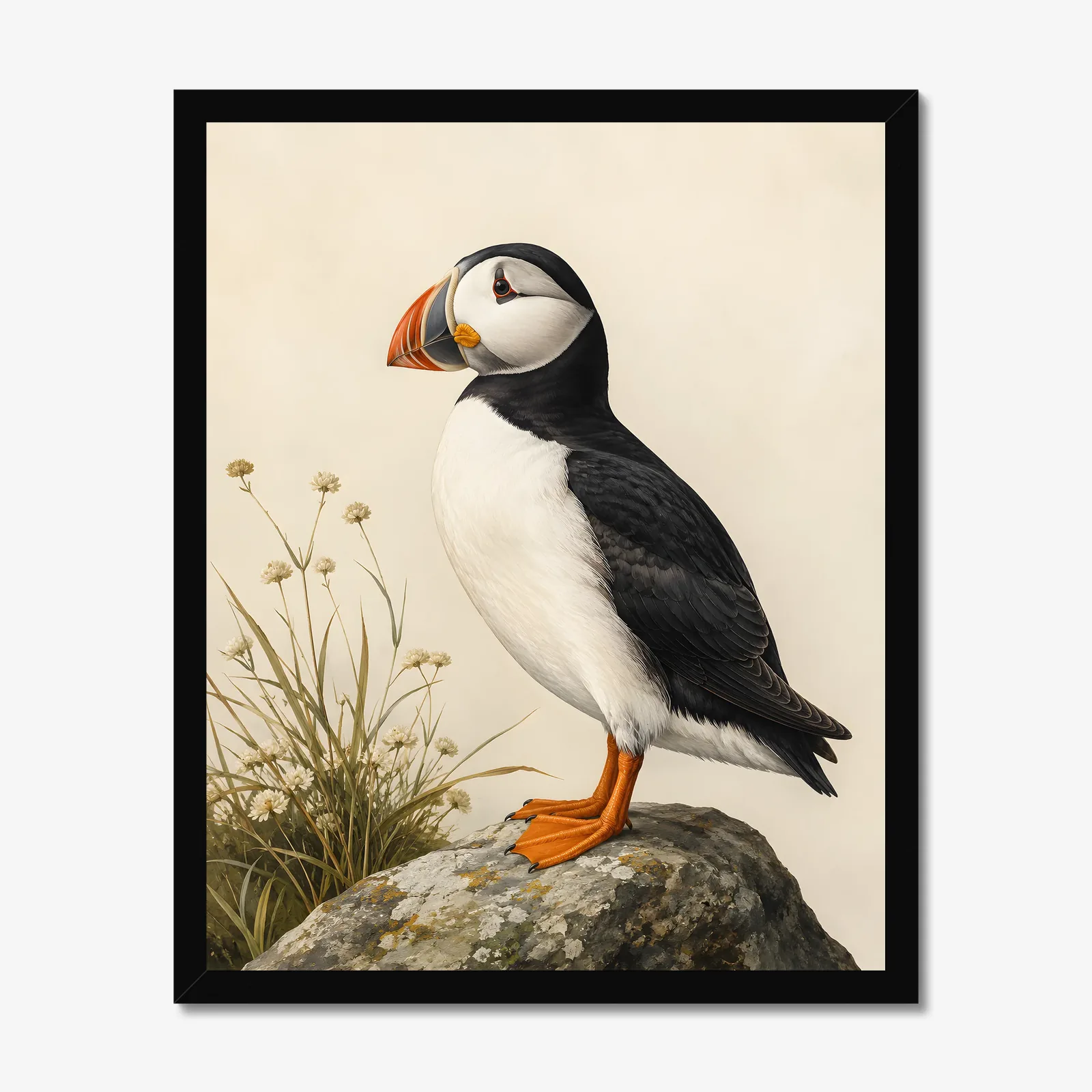 Atlantic Puffin Print in a black frame