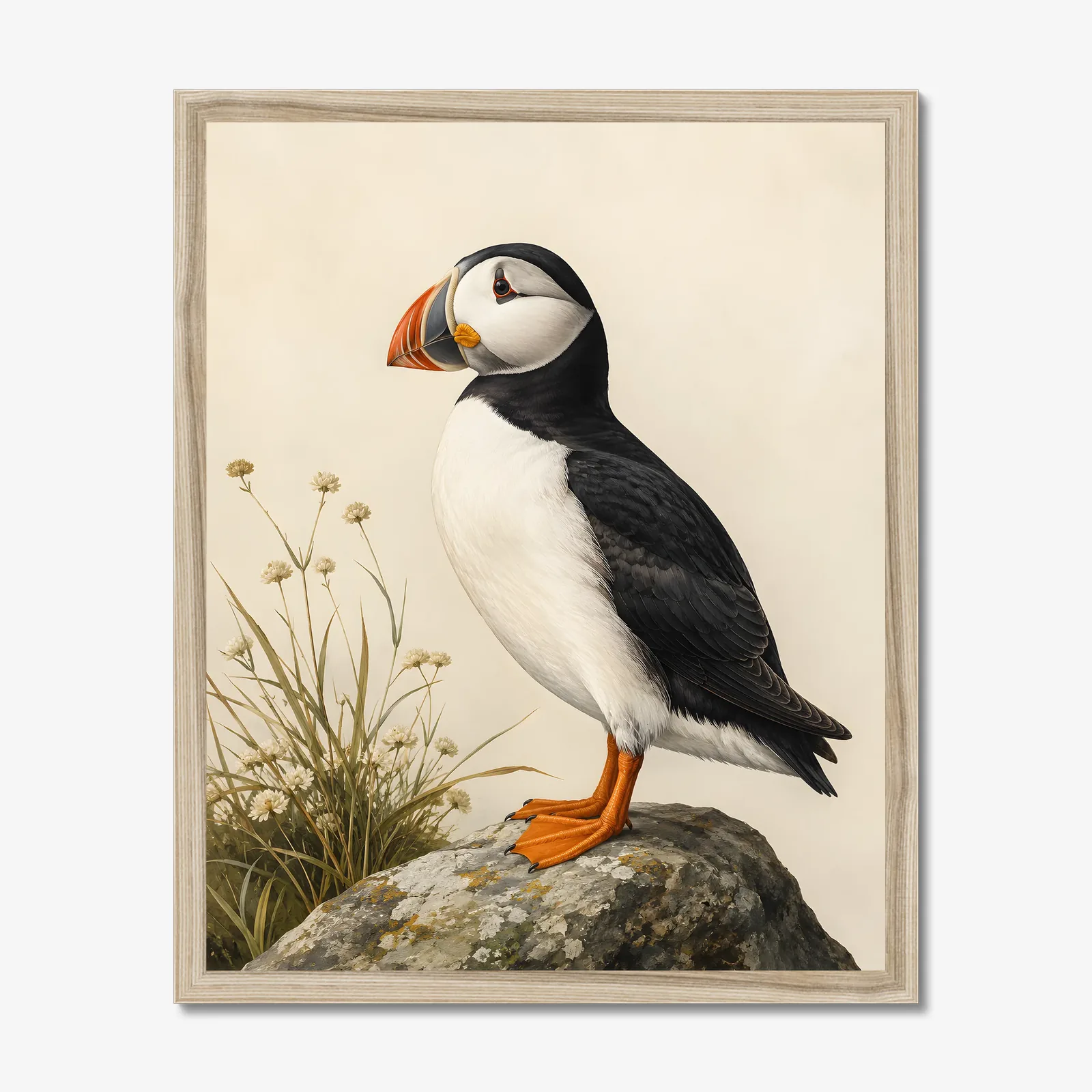 Atlantic Puffin Print in a natural frame