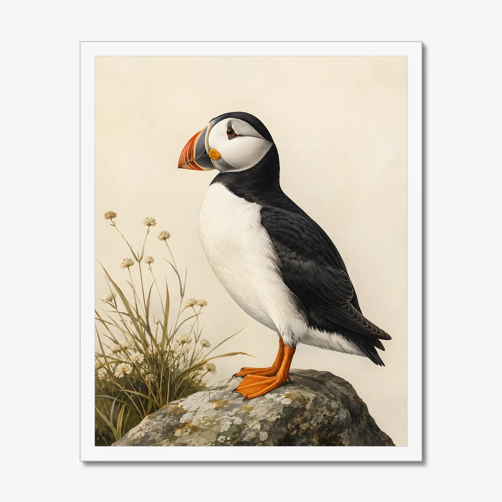 Atlantic Puffin Print in a white frame