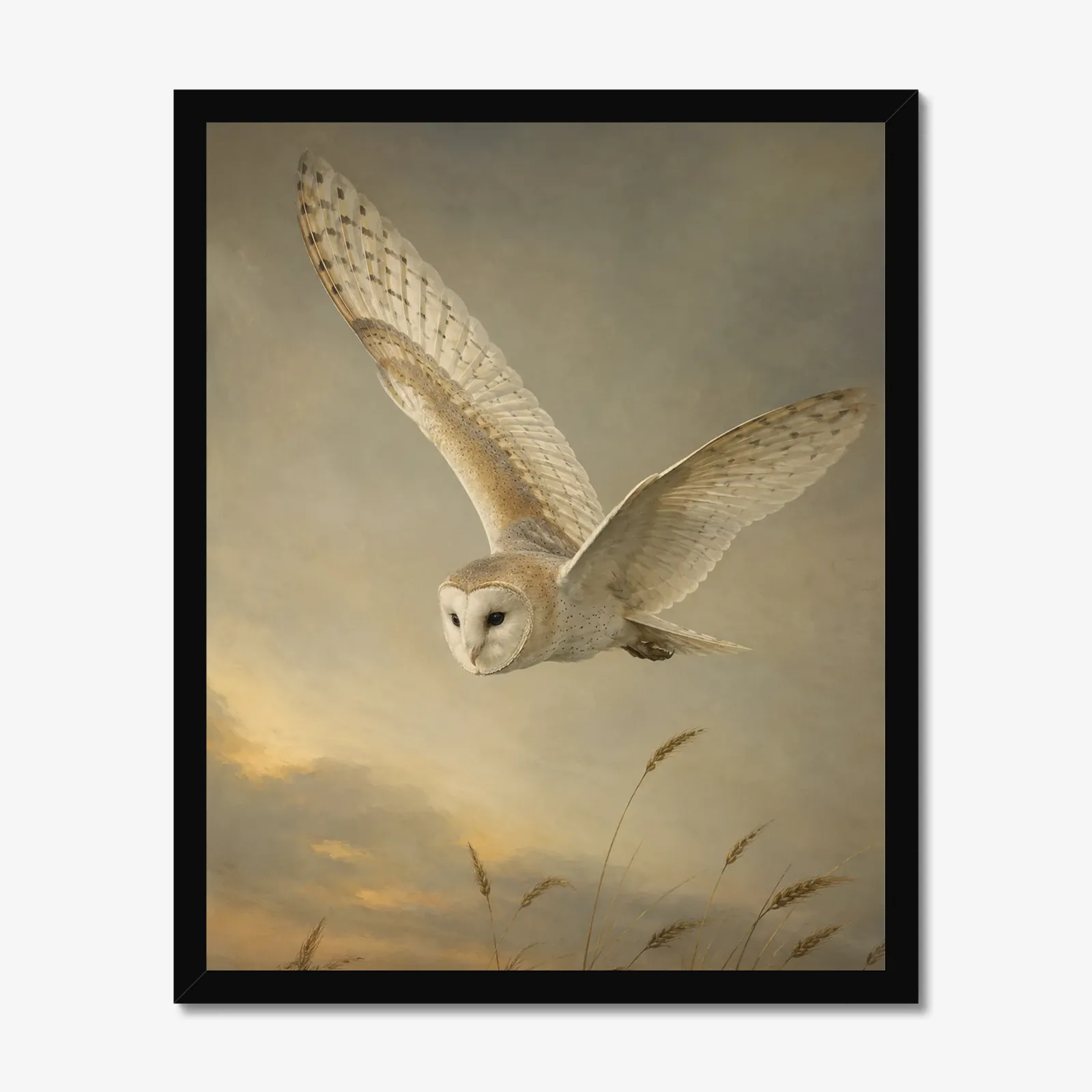 Barn Owl Print in a black frame