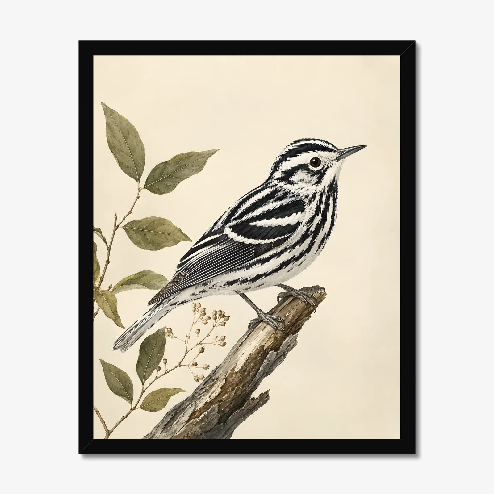Black-and-white Warbler Print in a black frame