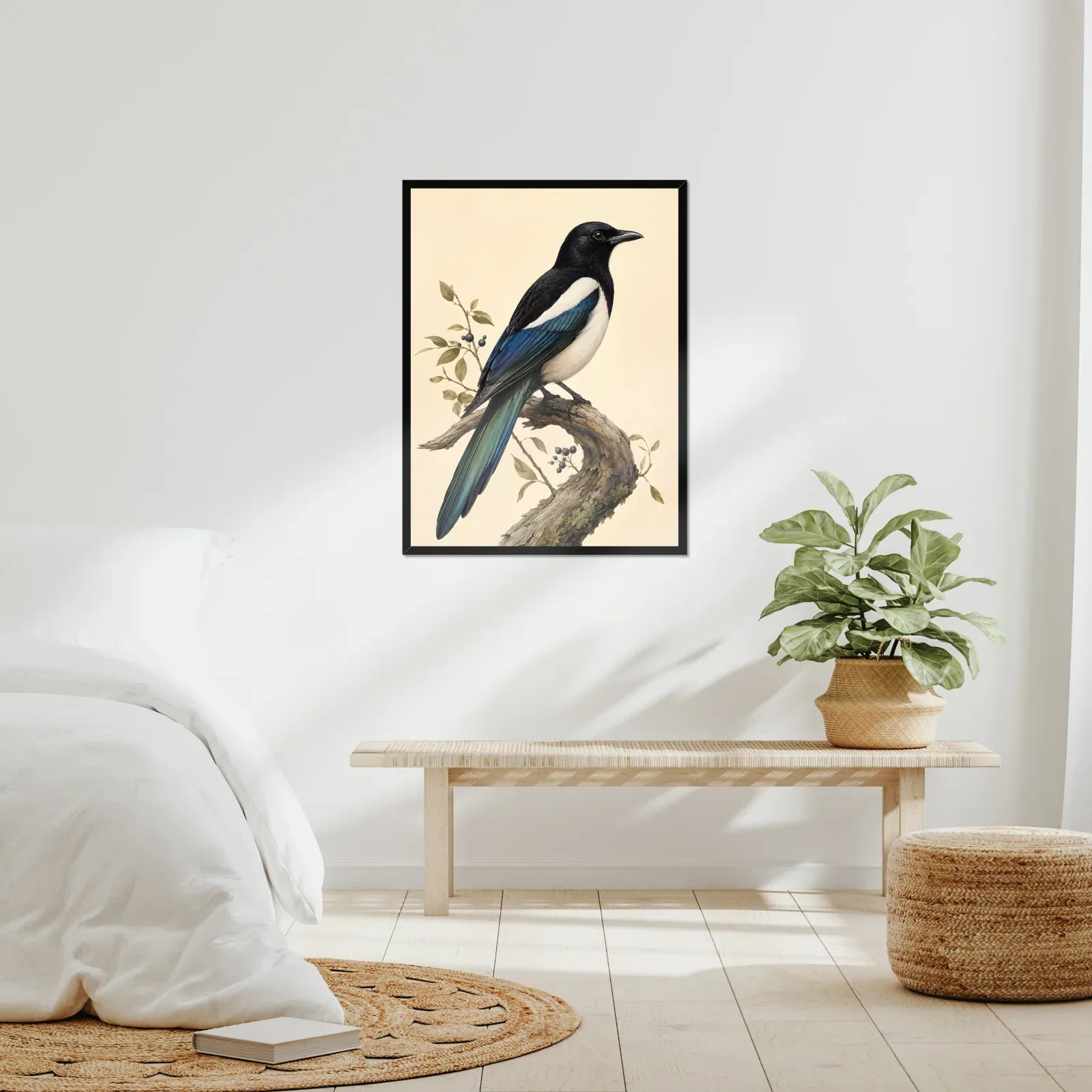 Black-billed Magpie Print framed at 24x30 inches, shown on a wall to scale