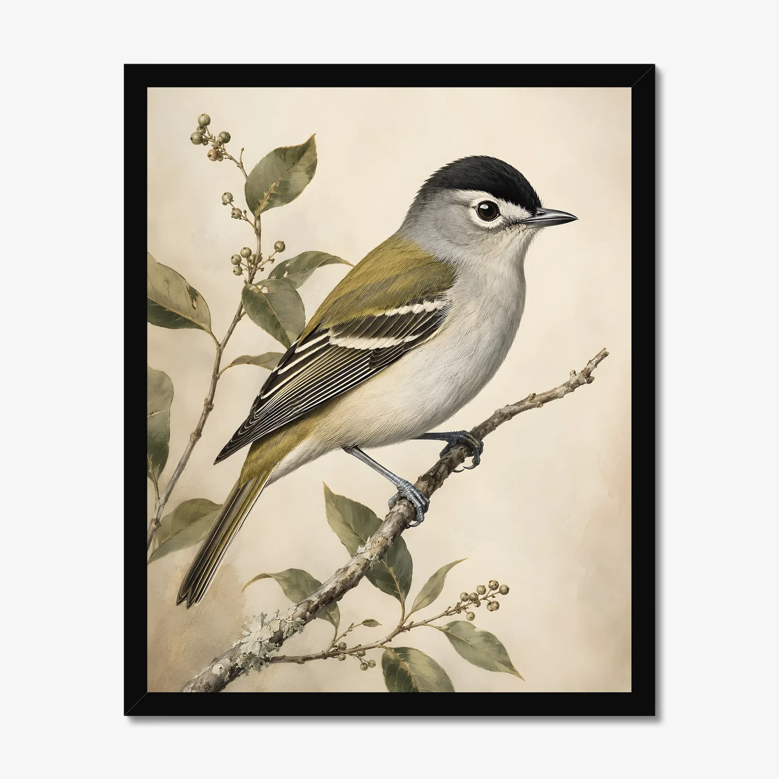 Black-capped Vireo Print in a black frame