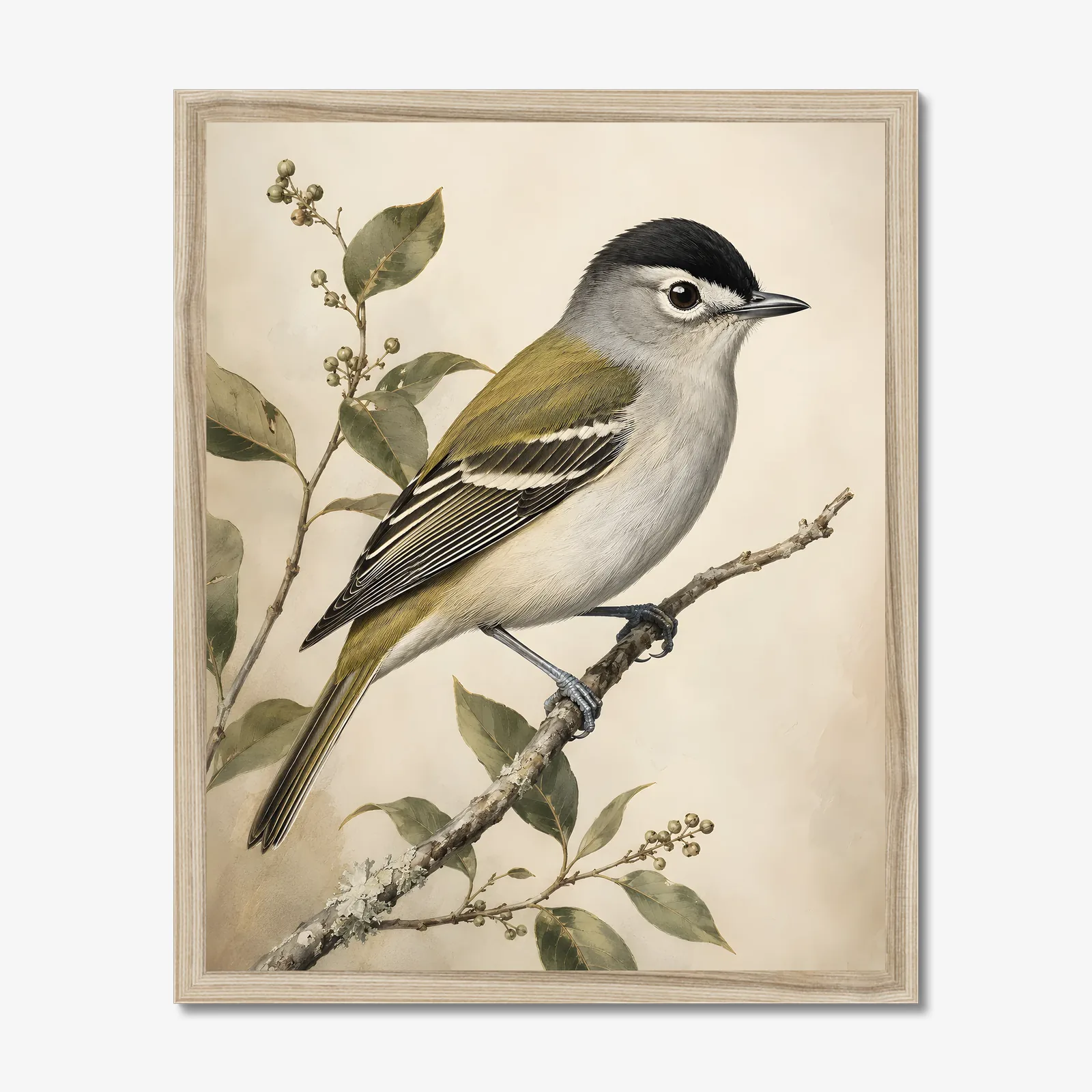 Black-capped Vireo Print in a natural frame