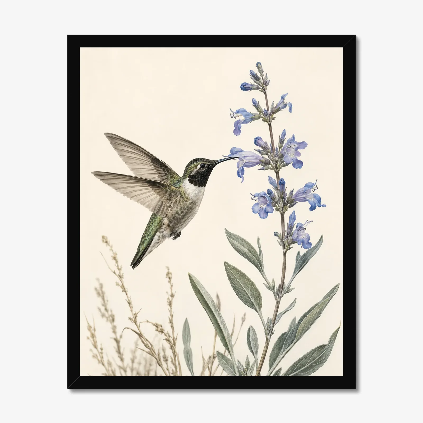 Black-chinned Hummingbird at Desert Sage Print in a black frame