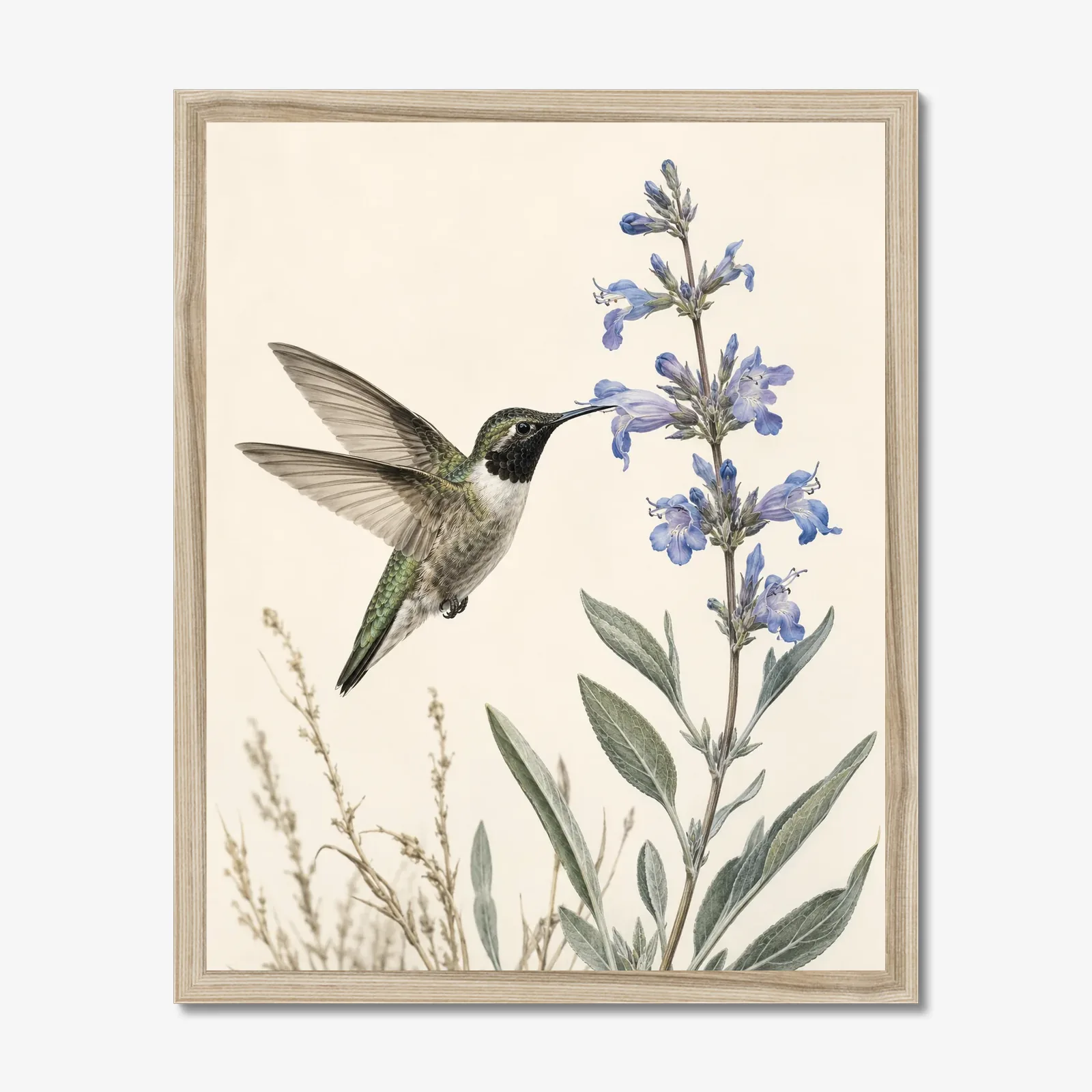 Black-chinned Hummingbird at Desert Sage Print in a natural frame