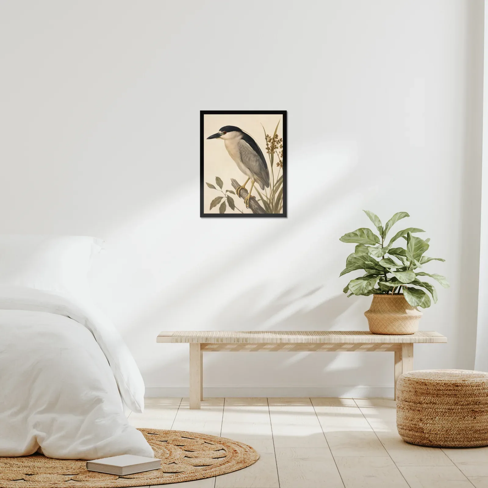 Black Crowned Night Heron Print framed at 16x20 inches, shown on a wall to scale