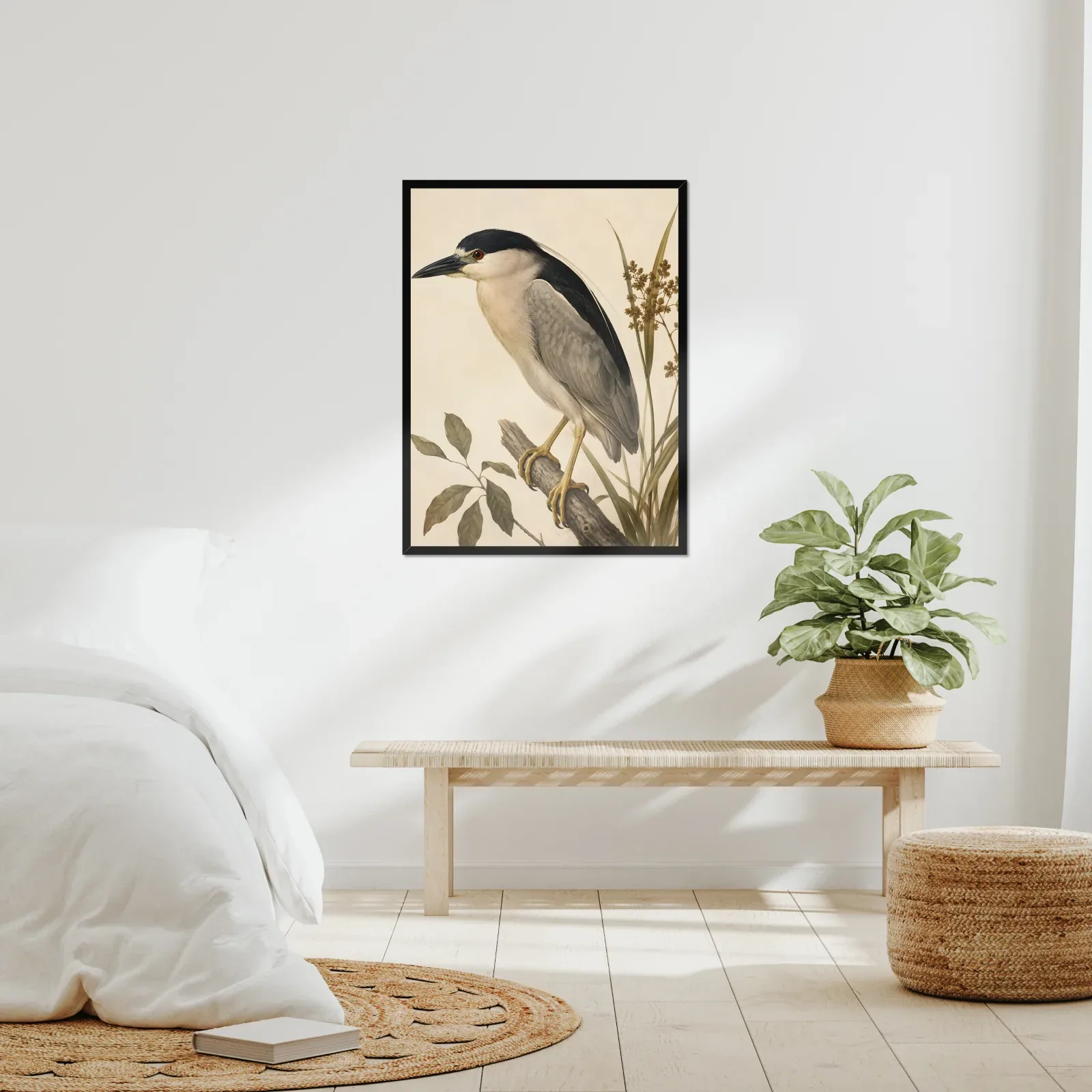 Black Crowned Night Heron Print framed at 24x30 inches, shown on a wall to scale