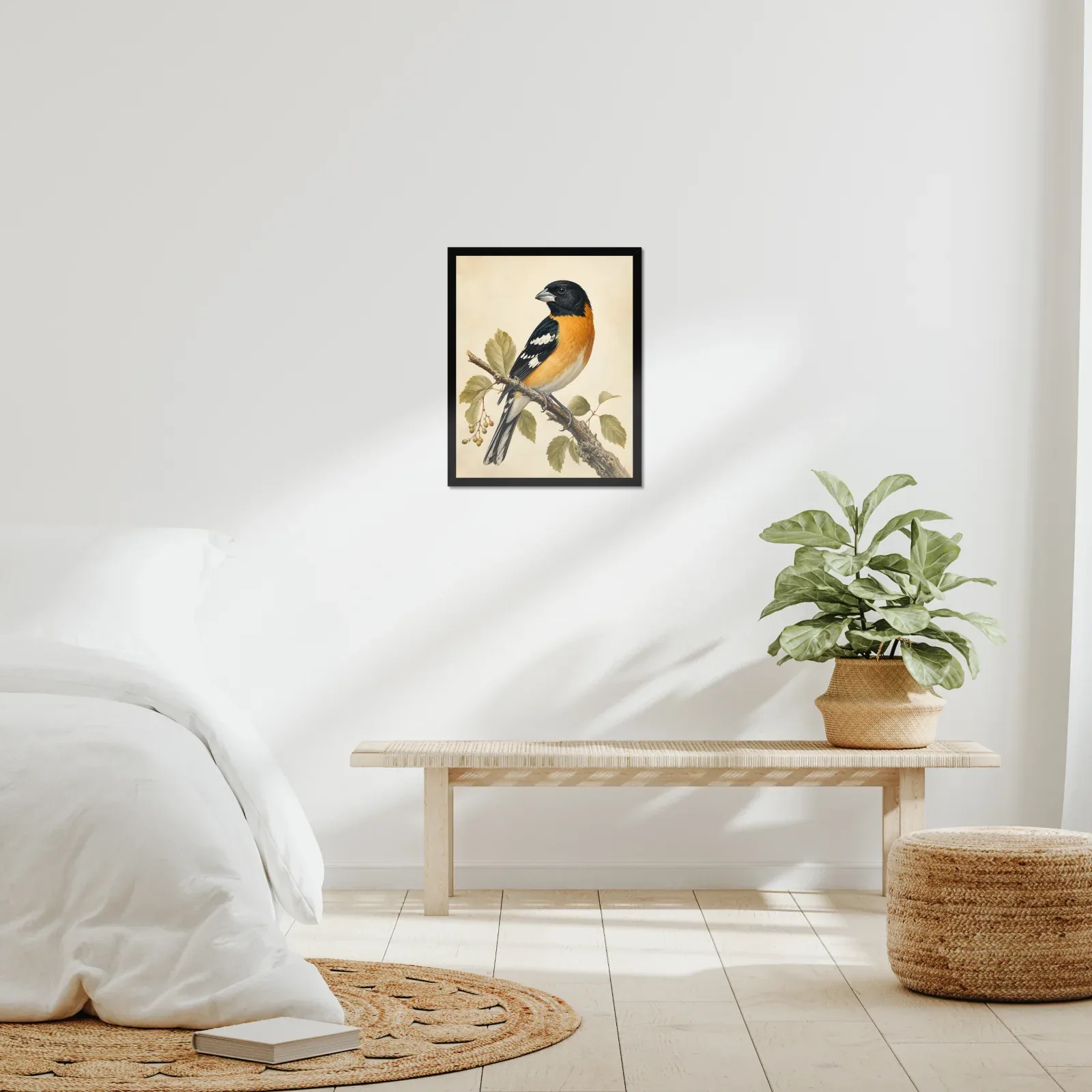 Black-headed Grosbeak Print framed at 16x20 inches, shown on a wall to scale