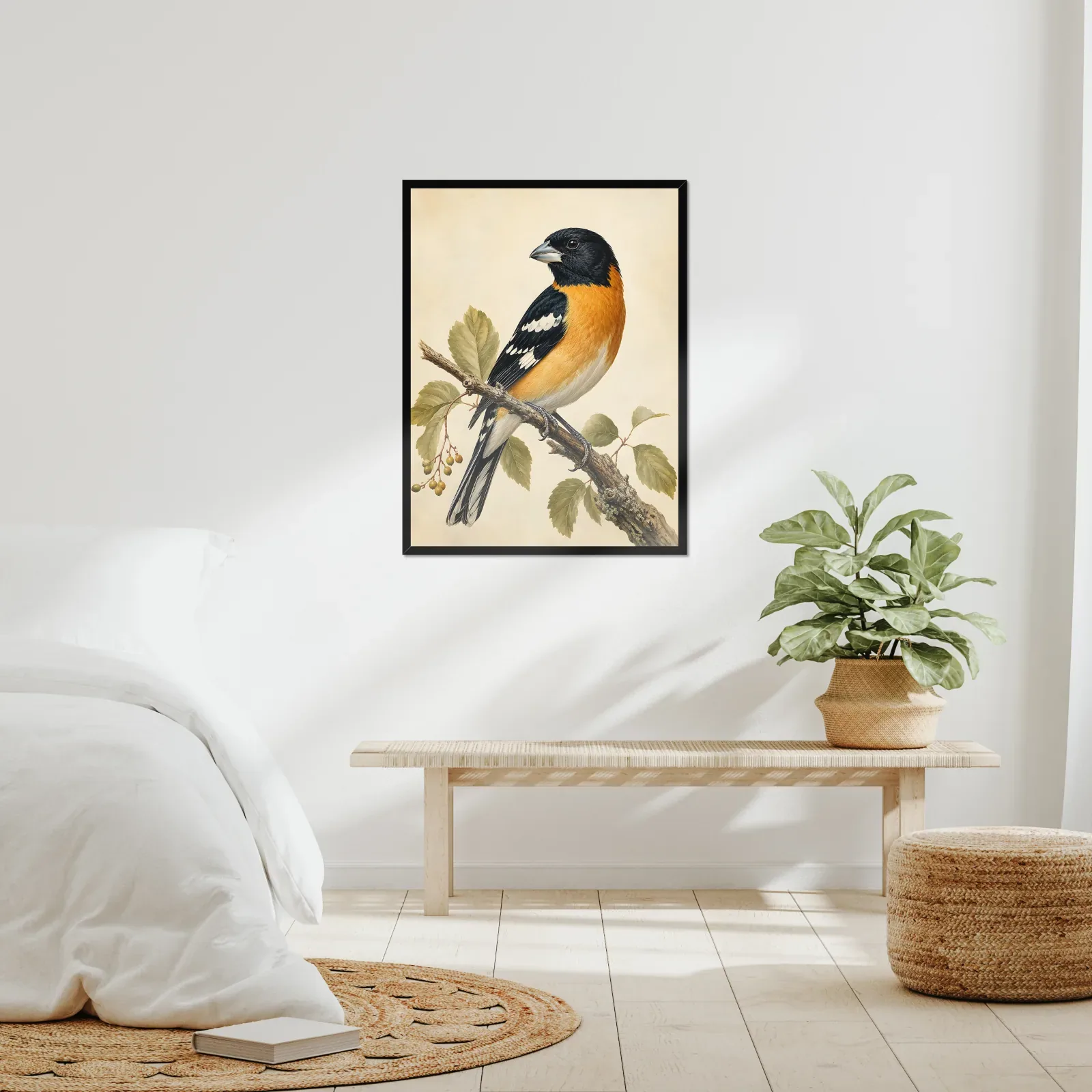 Black-headed Grosbeak Print framed at 24x30 inches, shown on a wall to scale