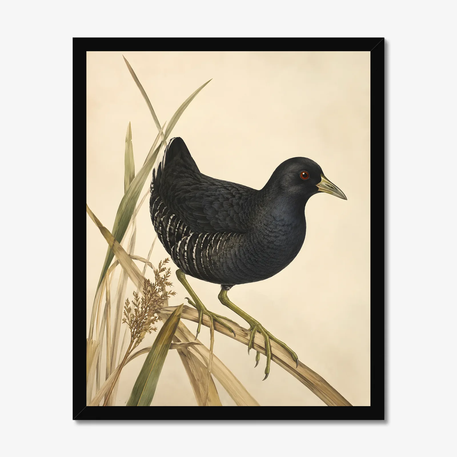 Black Rail Print in a black frame