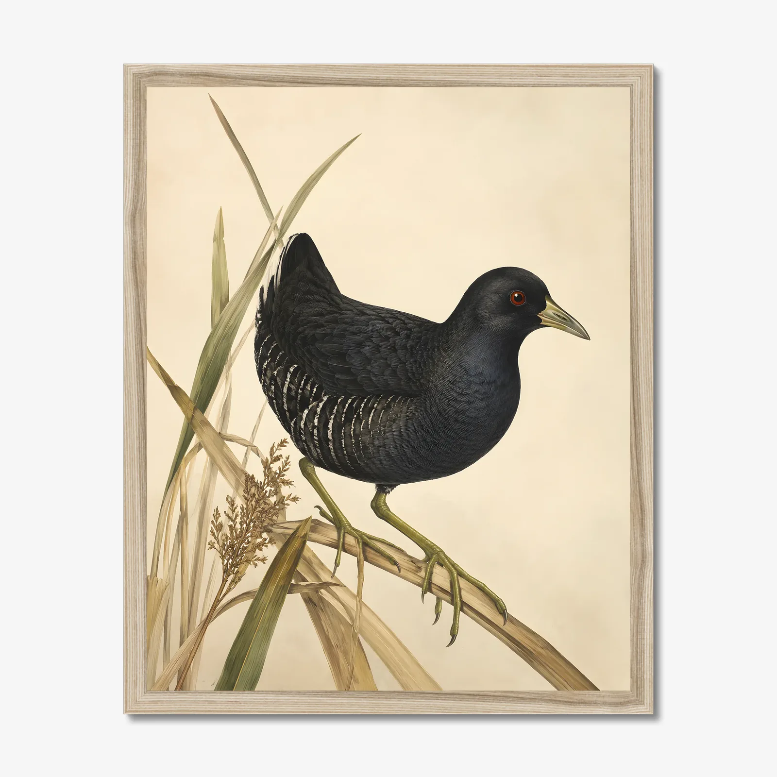 Black Rail Print in a natural frame