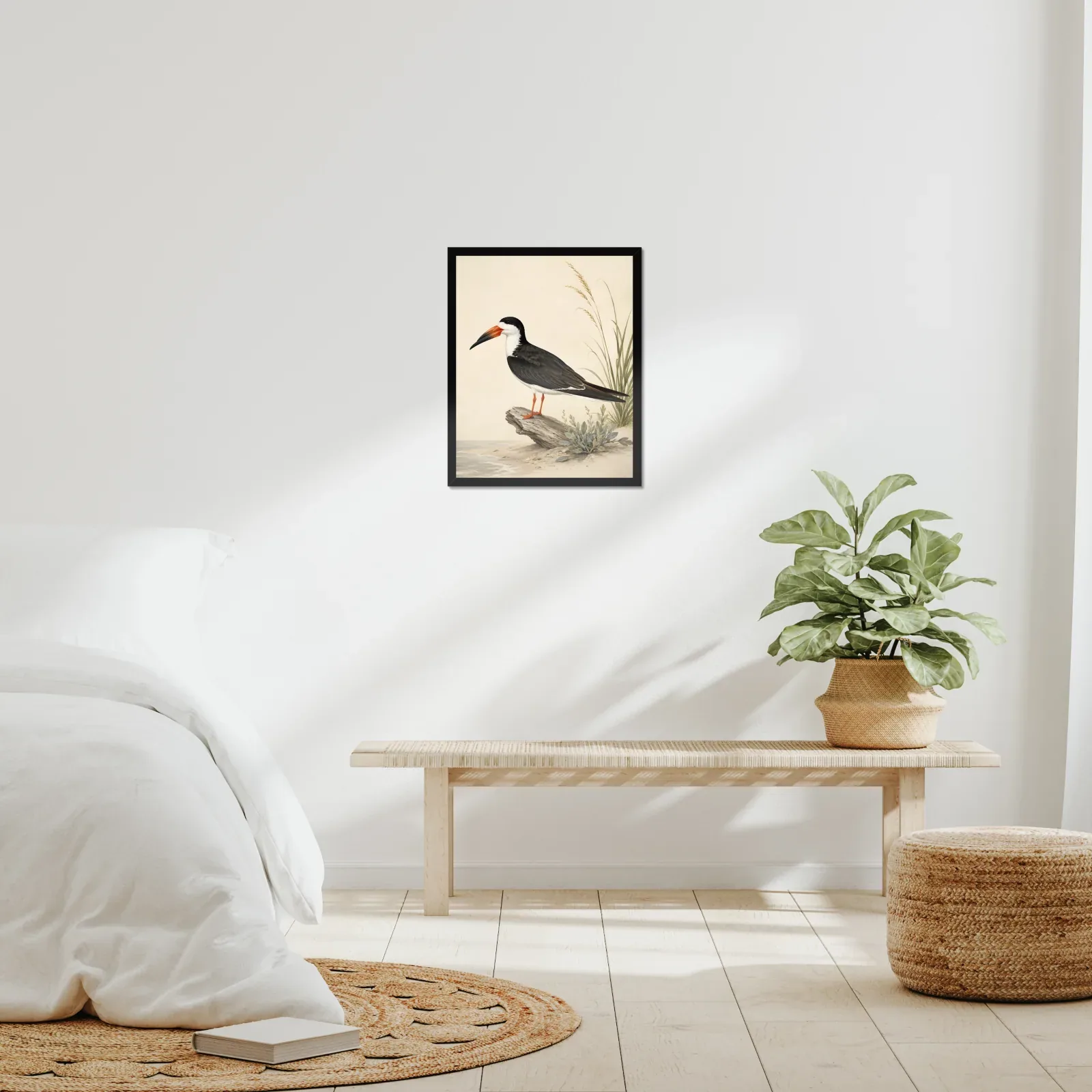 Black Skimmer Print framed at 16x20 inches, shown on a wall to scale