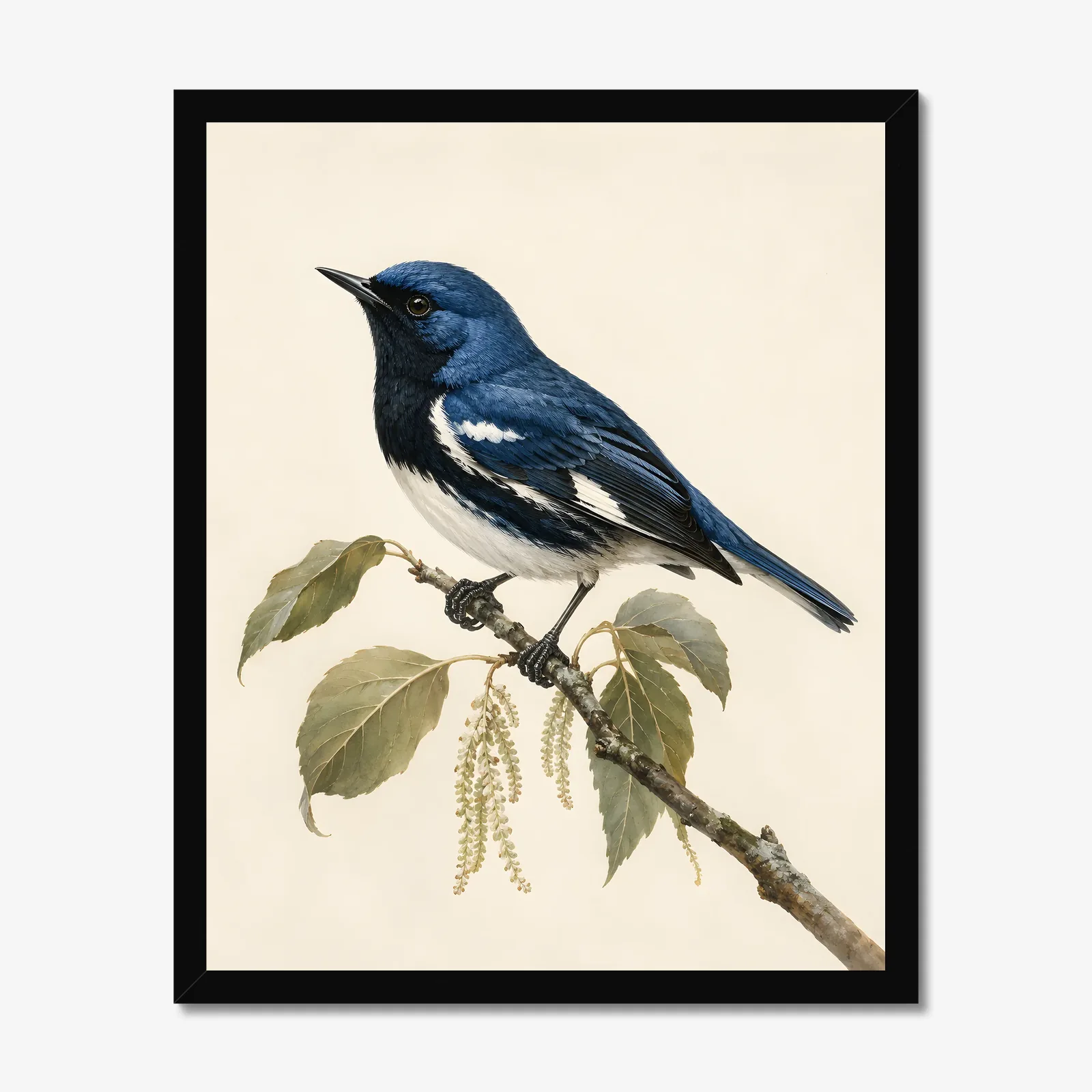 Black-throated Blue Warbler Print in a black frame