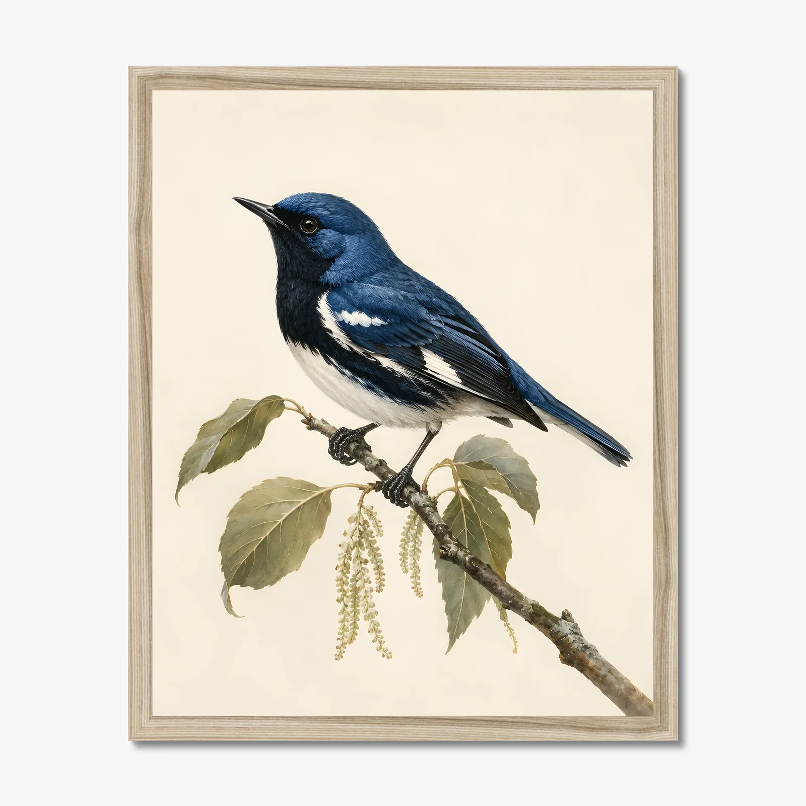 Black-throated Blue Warbler Print in a natural frame