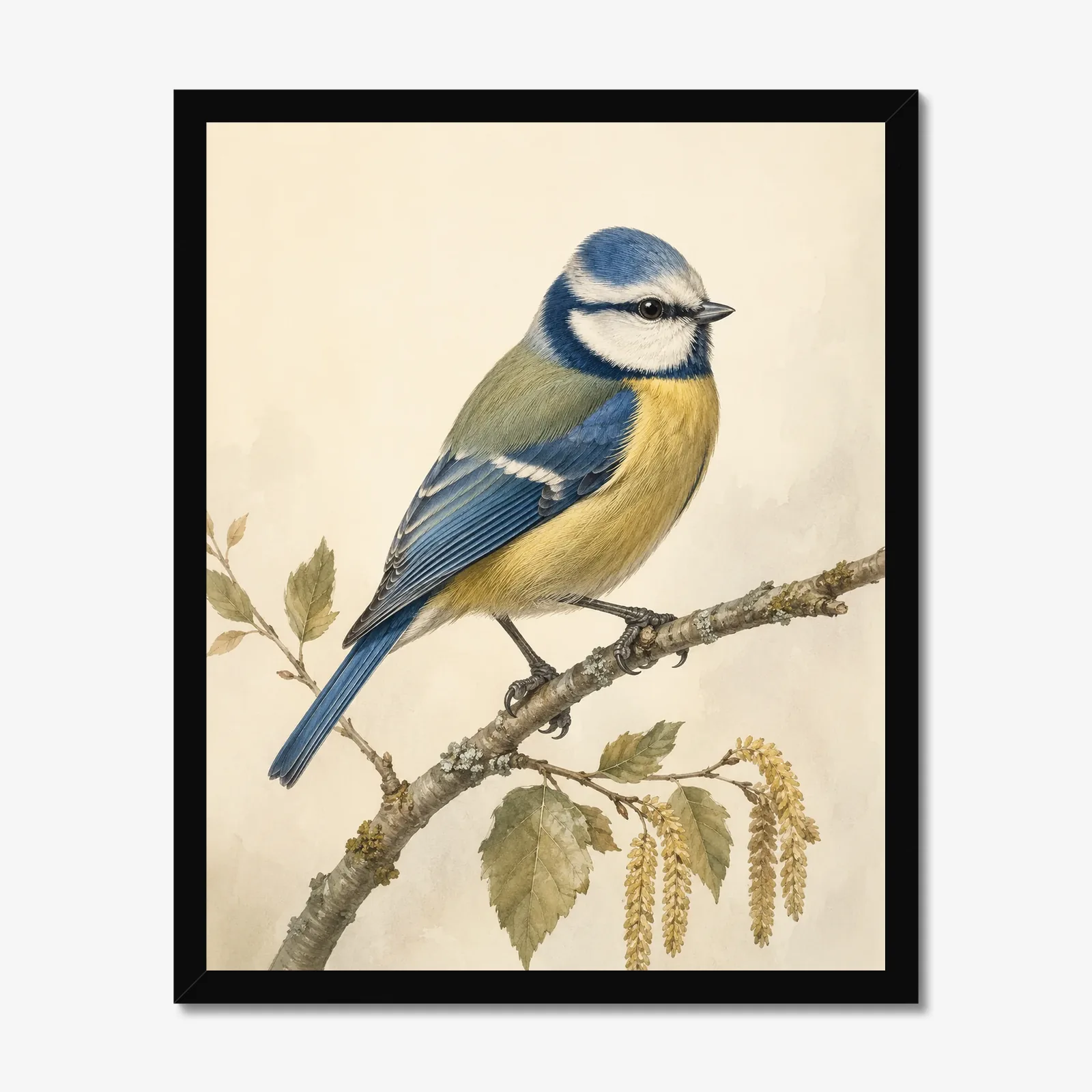 Blue Tit Print in a black frame