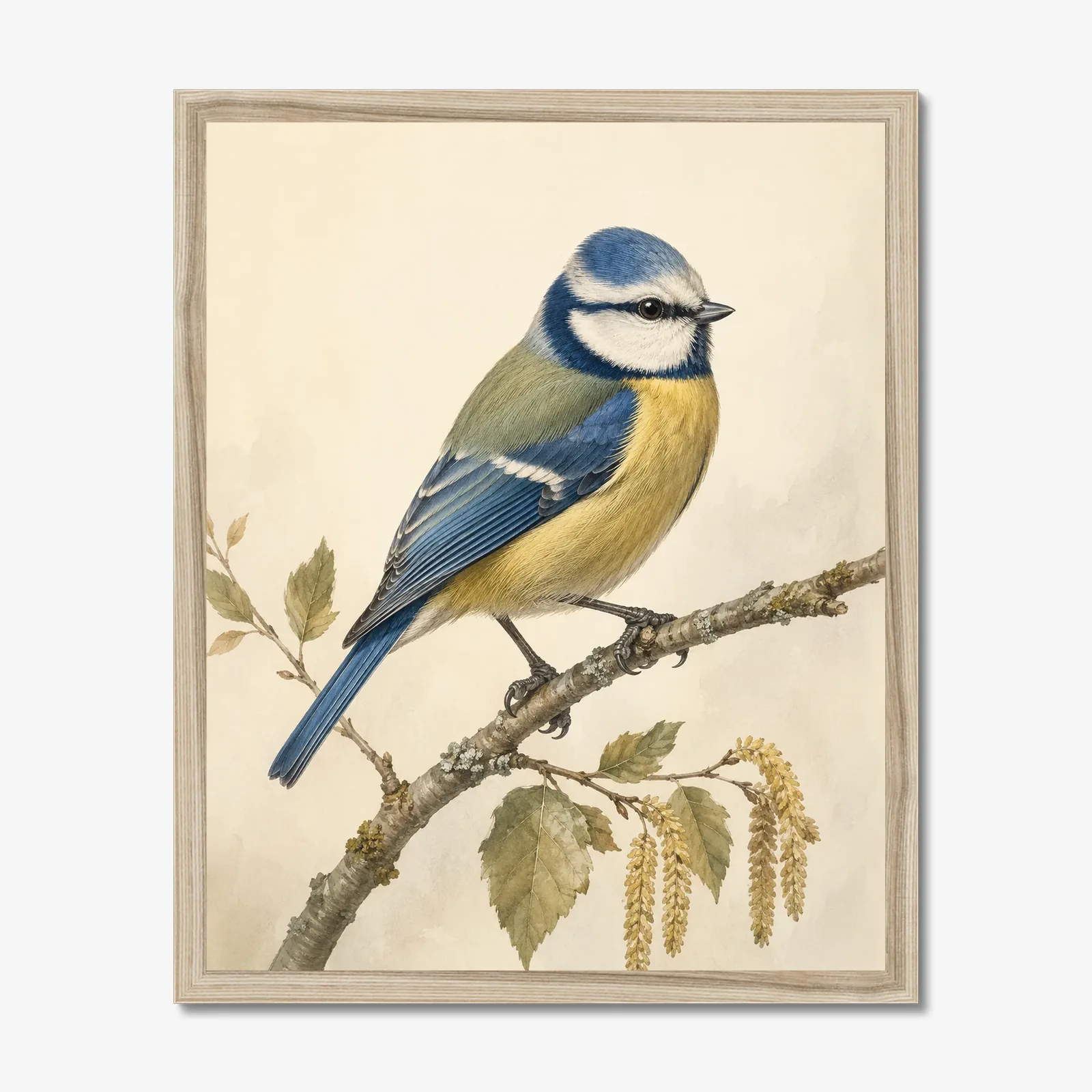 Blue Tit Print in a natural frame