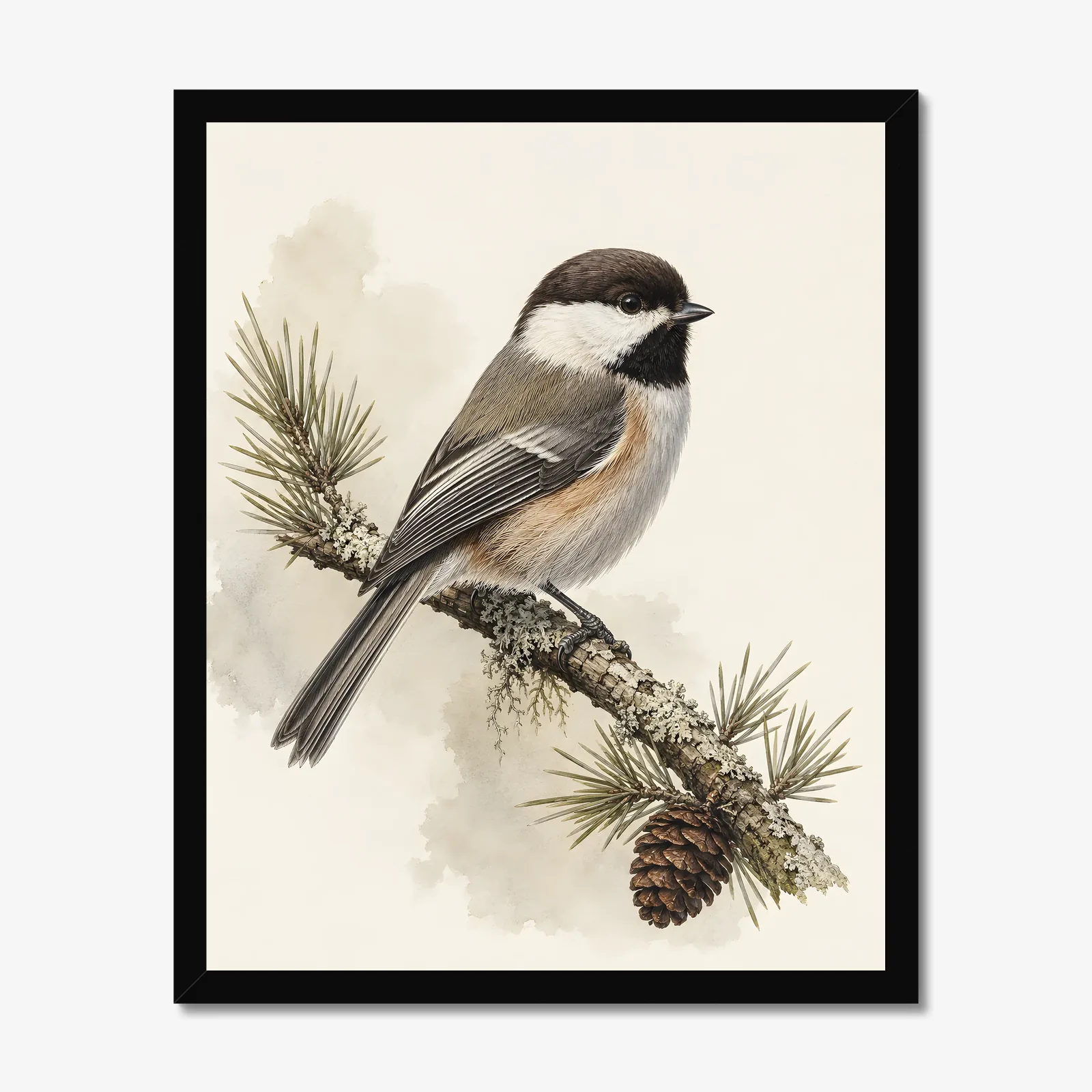 Boreal Chickadee Print in a black frame