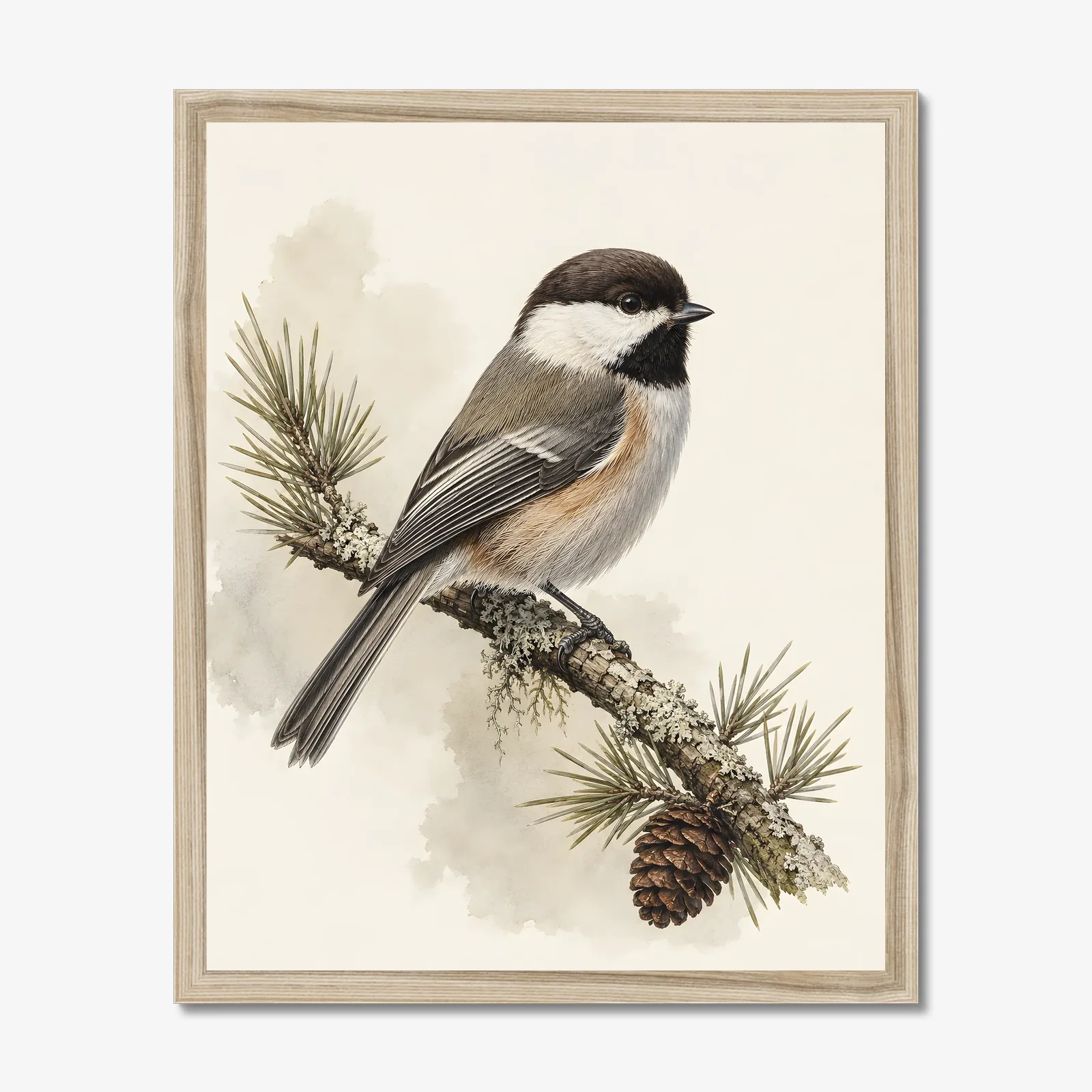 Boreal Chickadee Print in a natural frame