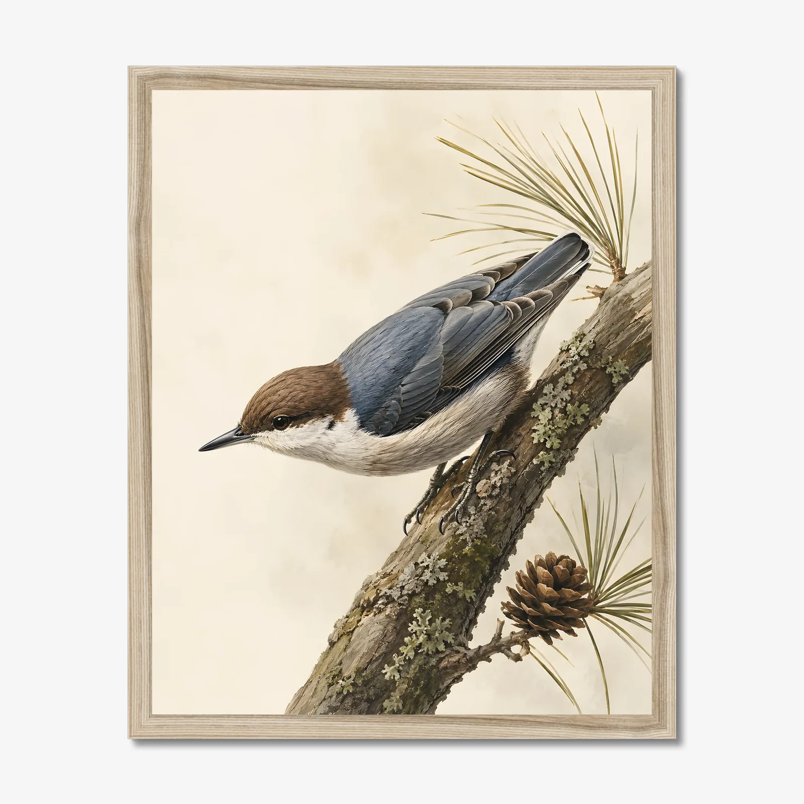 Brown-headed Nuthatch Print in a natural frame