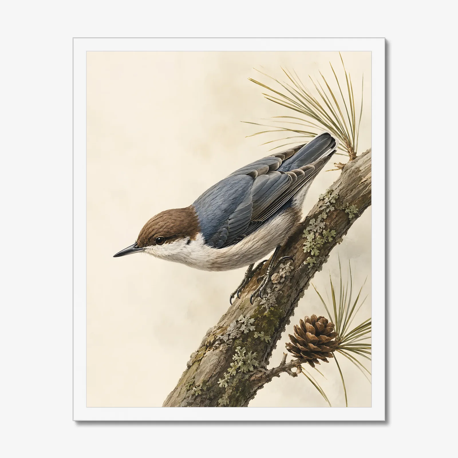 Brown-headed Nuthatch Print in a white frame
