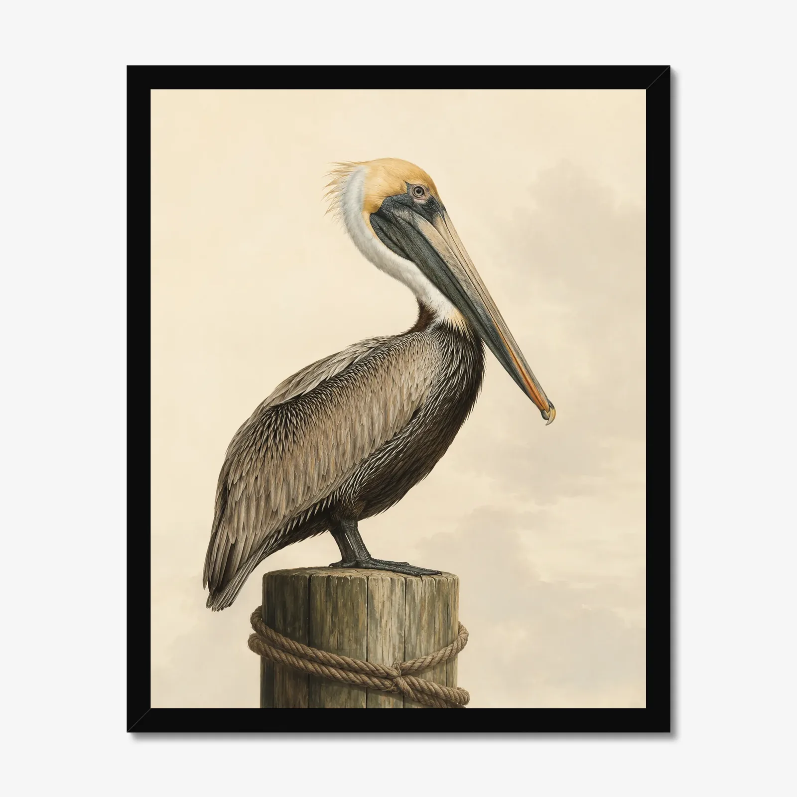 Brown Pelican print in a black frame