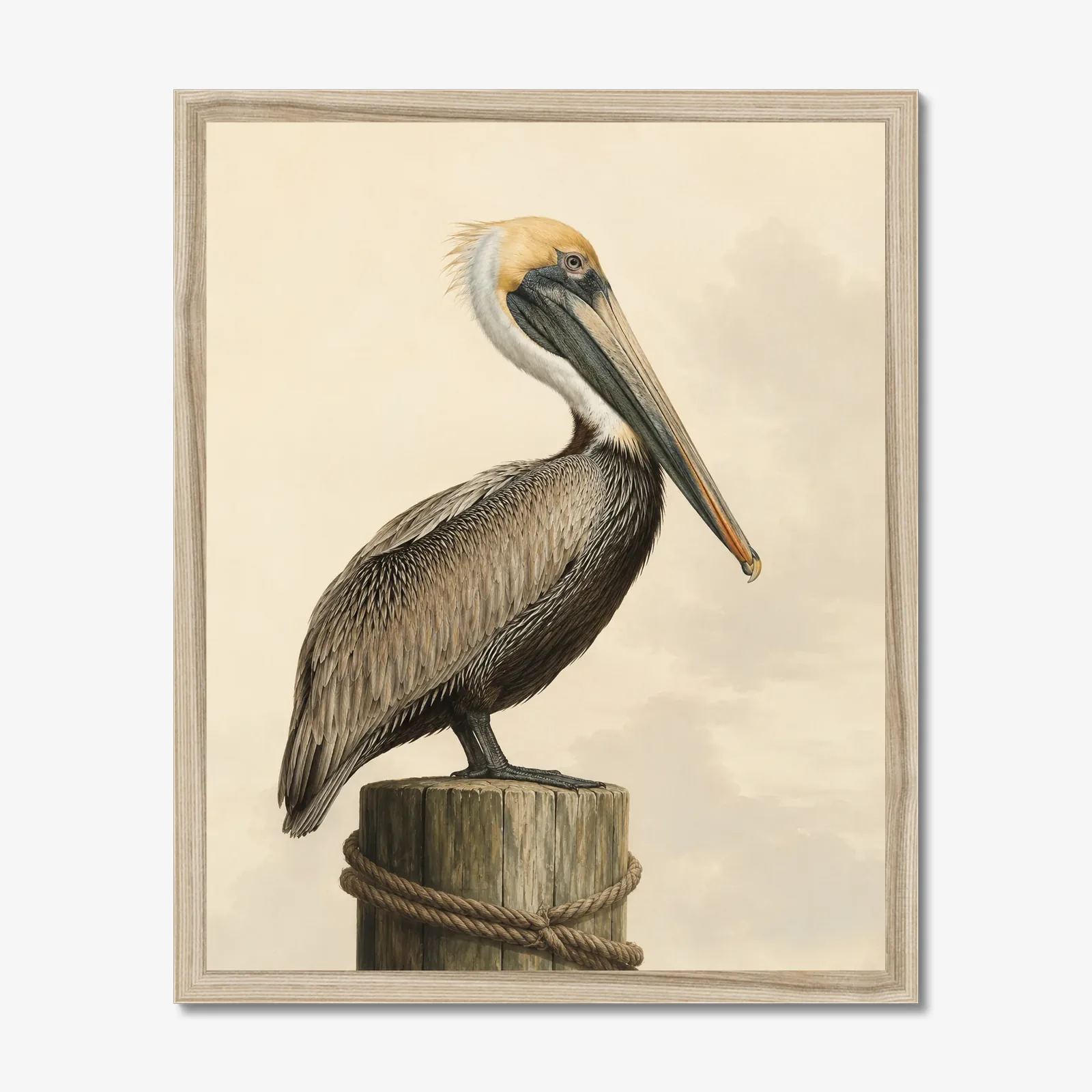 Brown Pelican print in a natural frame