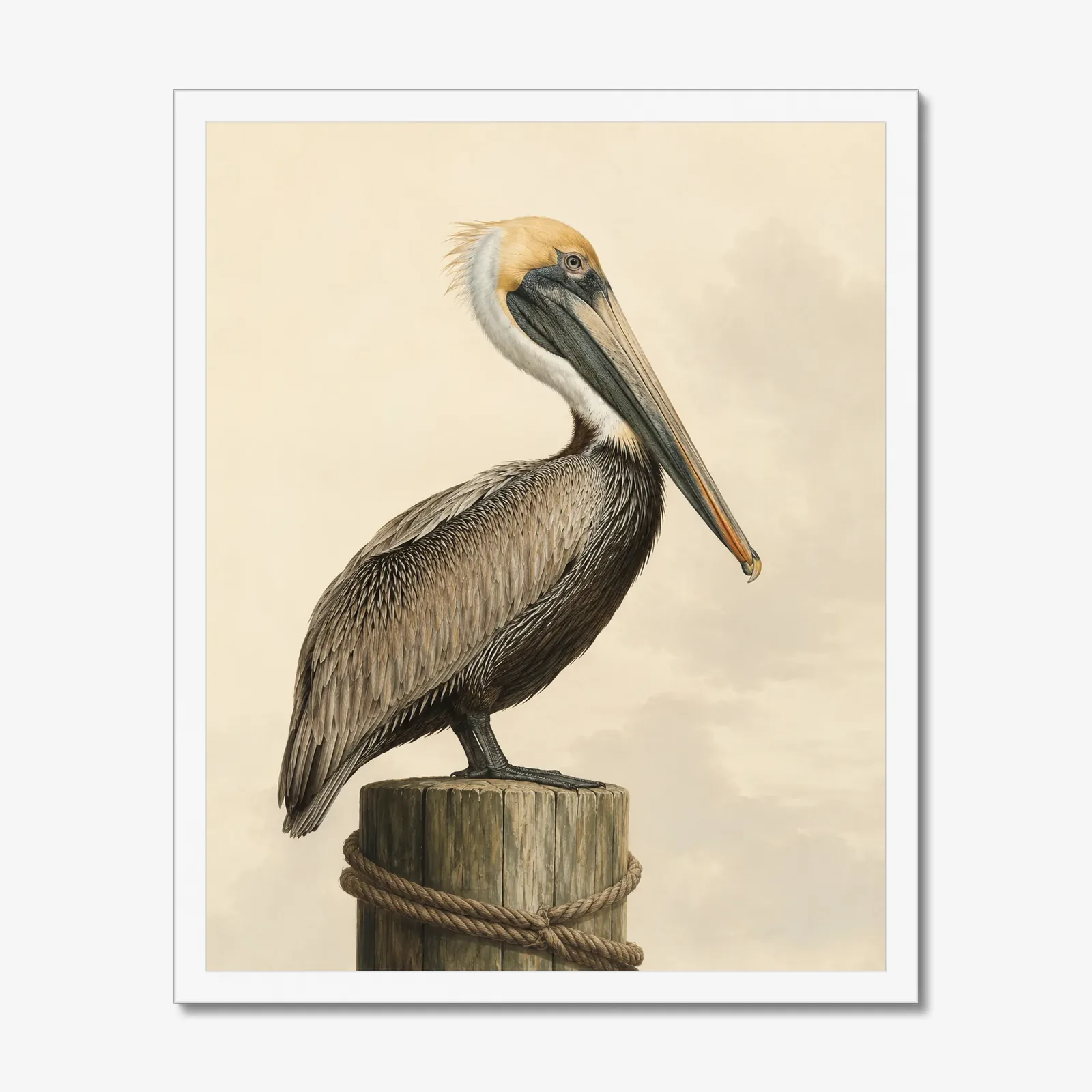 Brown Pelican print in a white frame