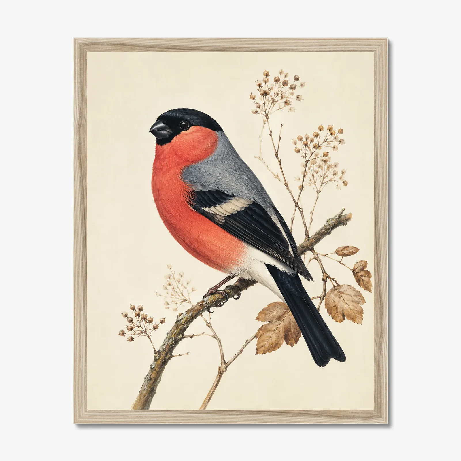 Bullfinch Print in a natural frame