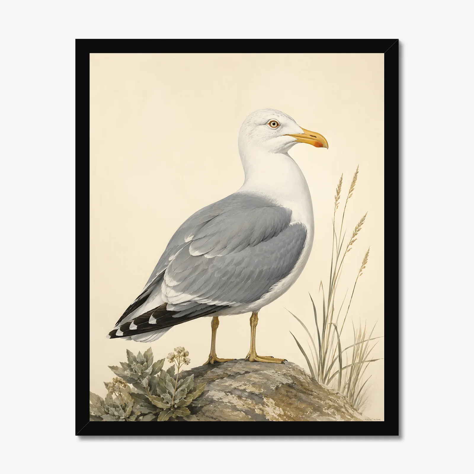 California Gull Print in a black frame