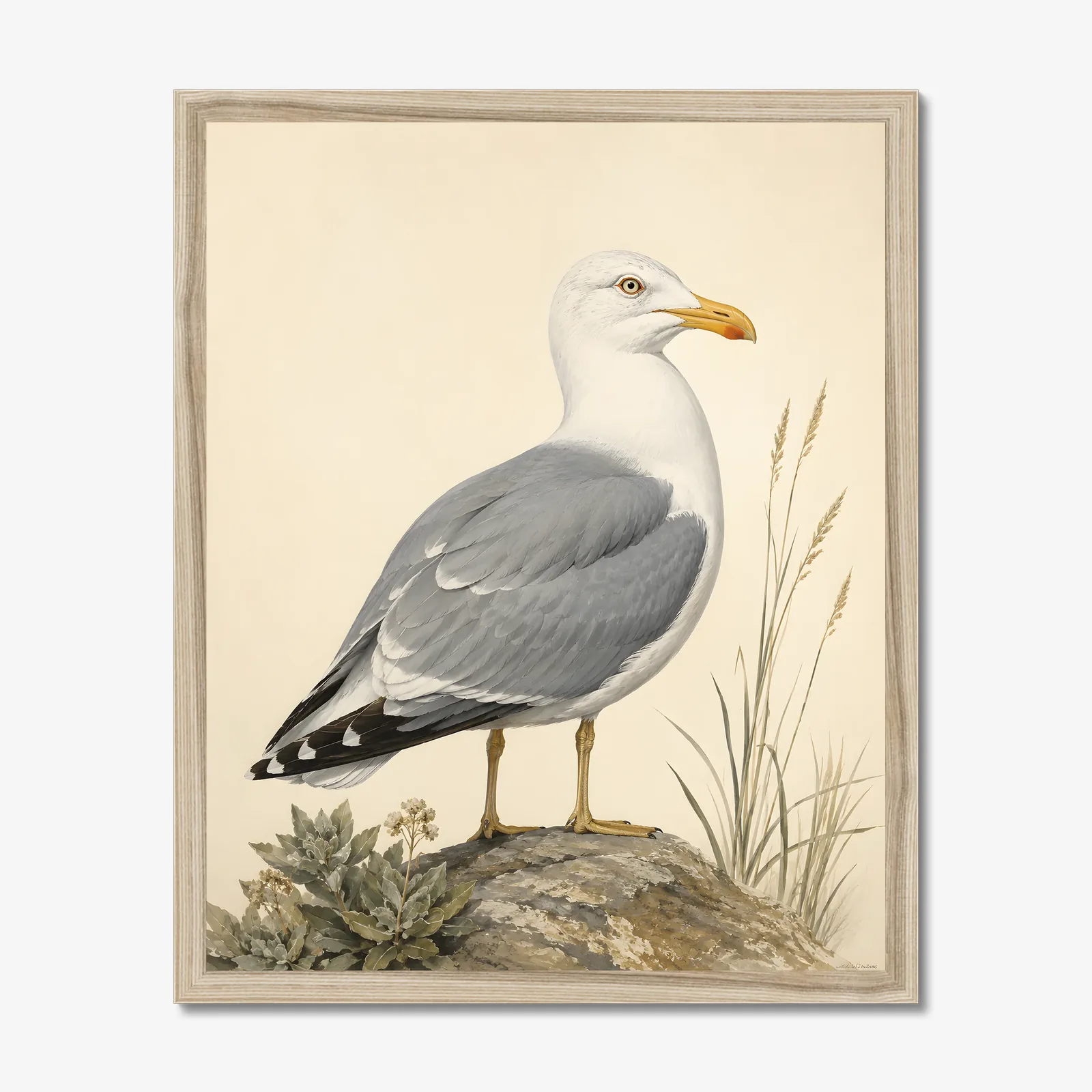California Gull Print in a natural frame