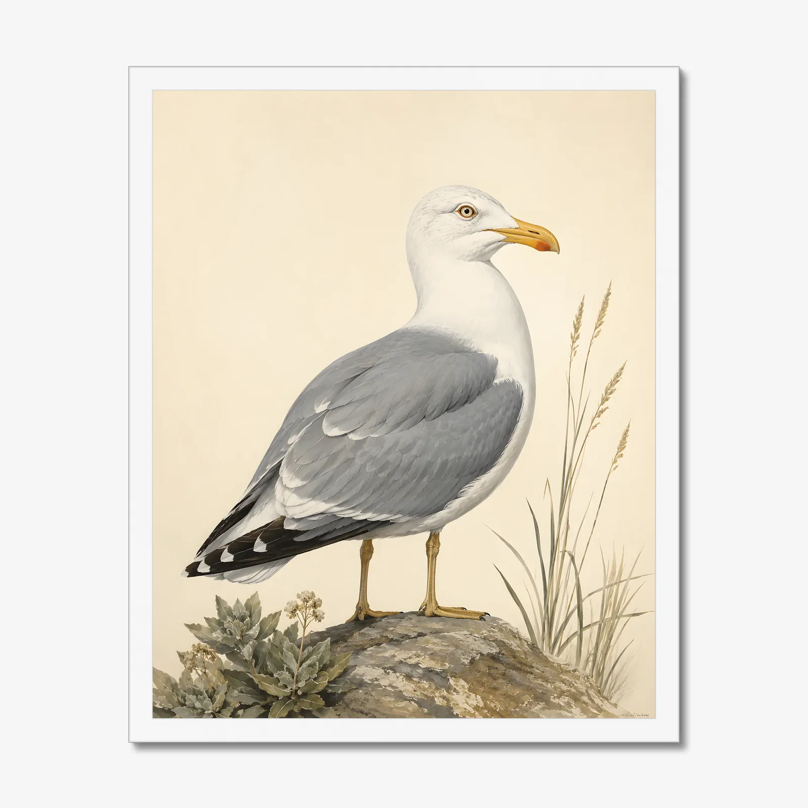 California Gull Print in a white frame