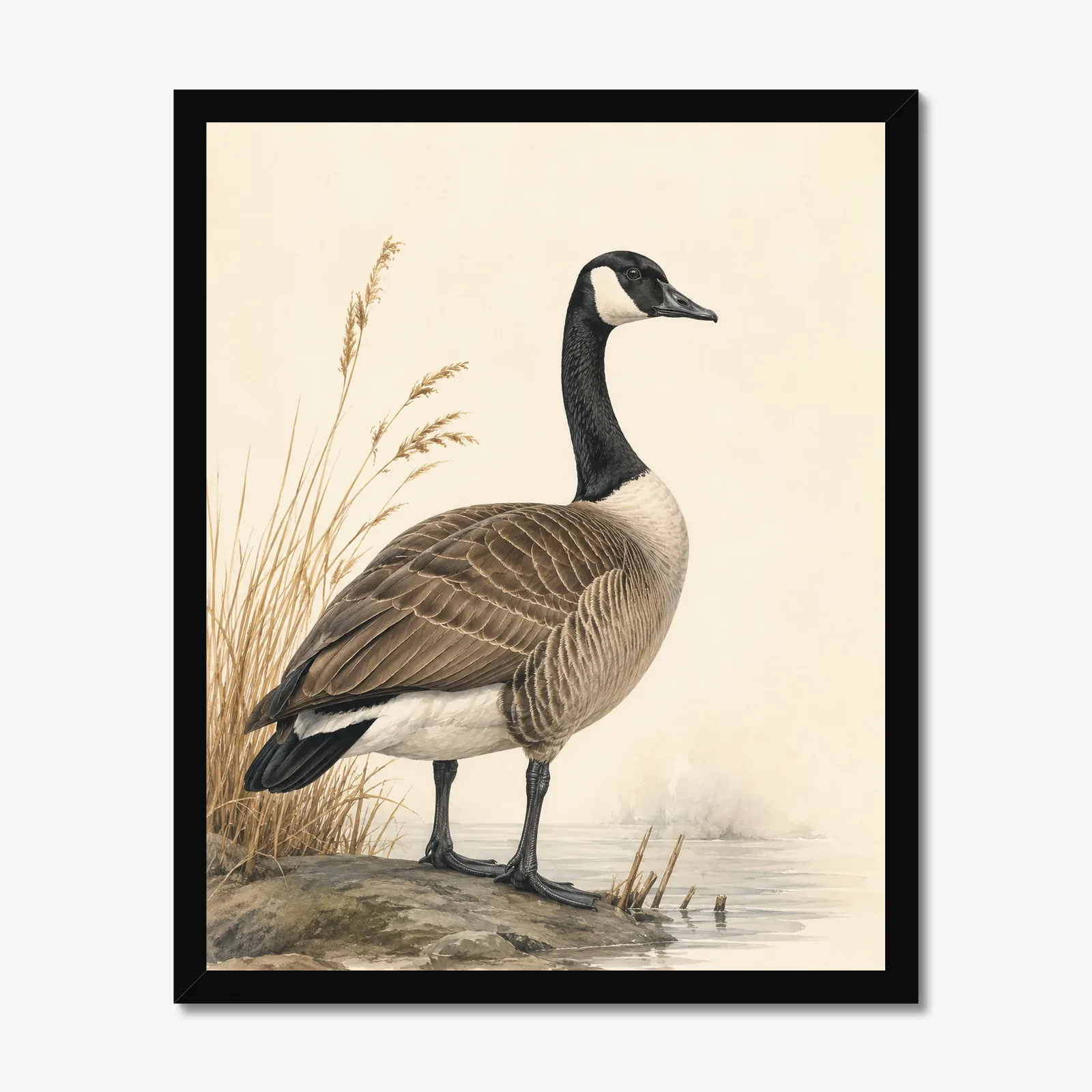 Canada Goose Print in a black frame