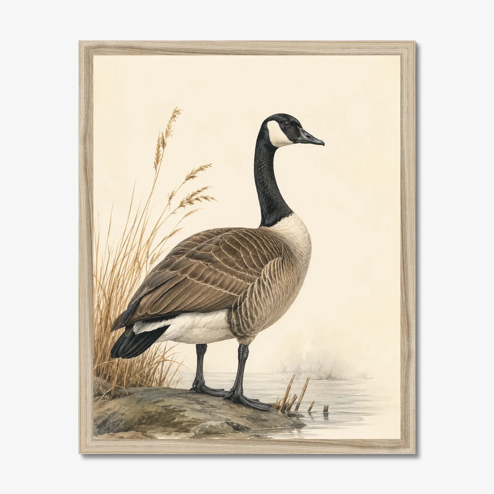 Canada Goose Print in a natural frame