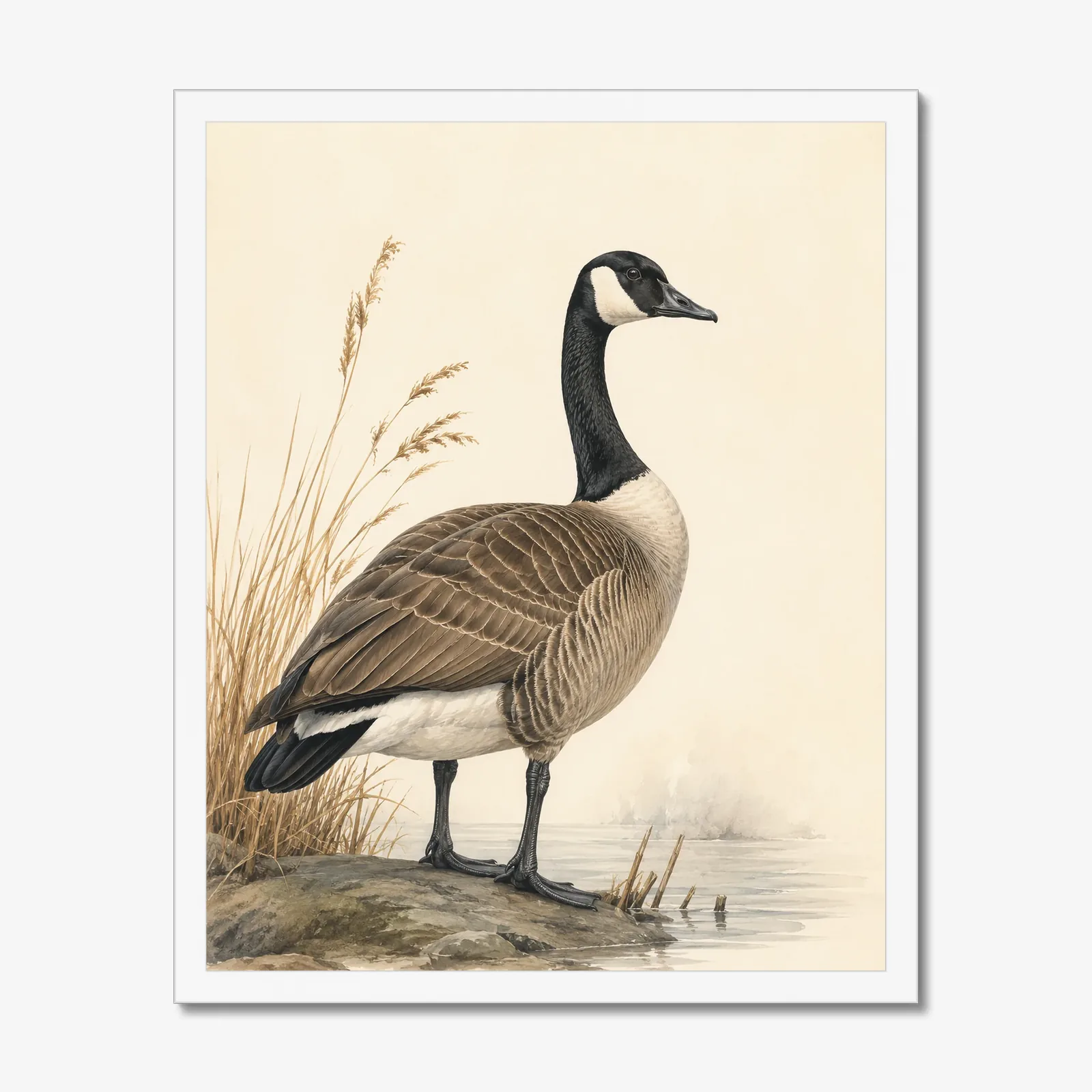 Canada Goose Print in a white frame