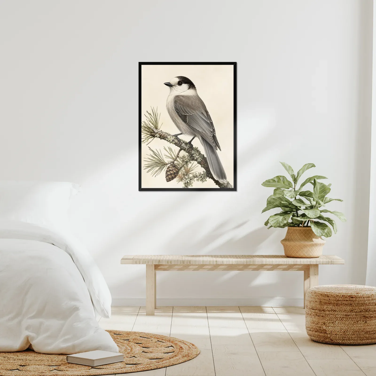 Canada Jay Print framed at 24x30 inches, shown on a wall to scale